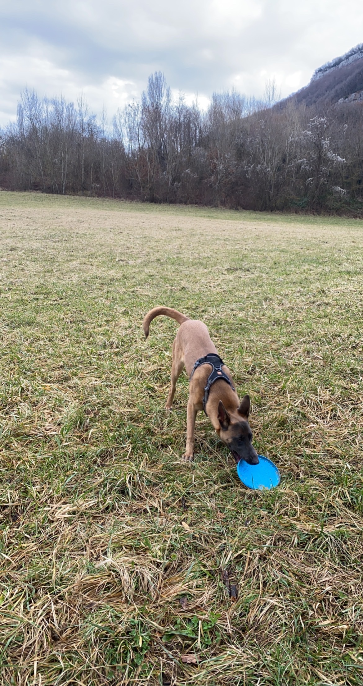 image-7