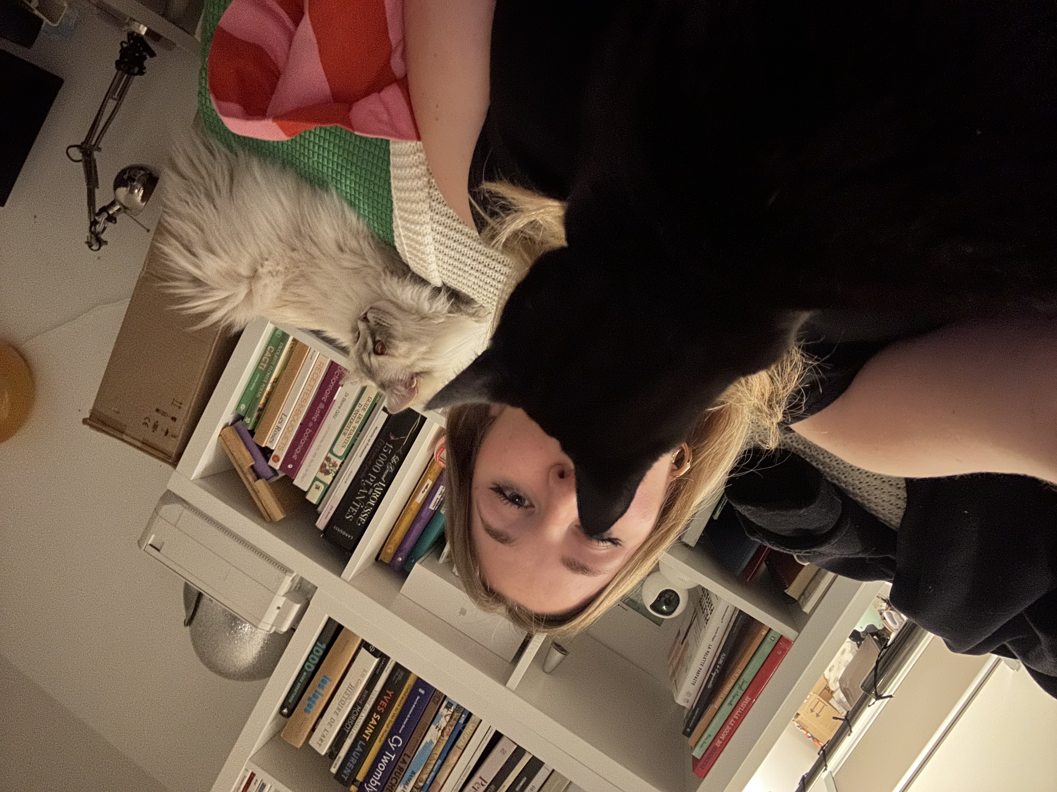 image-4