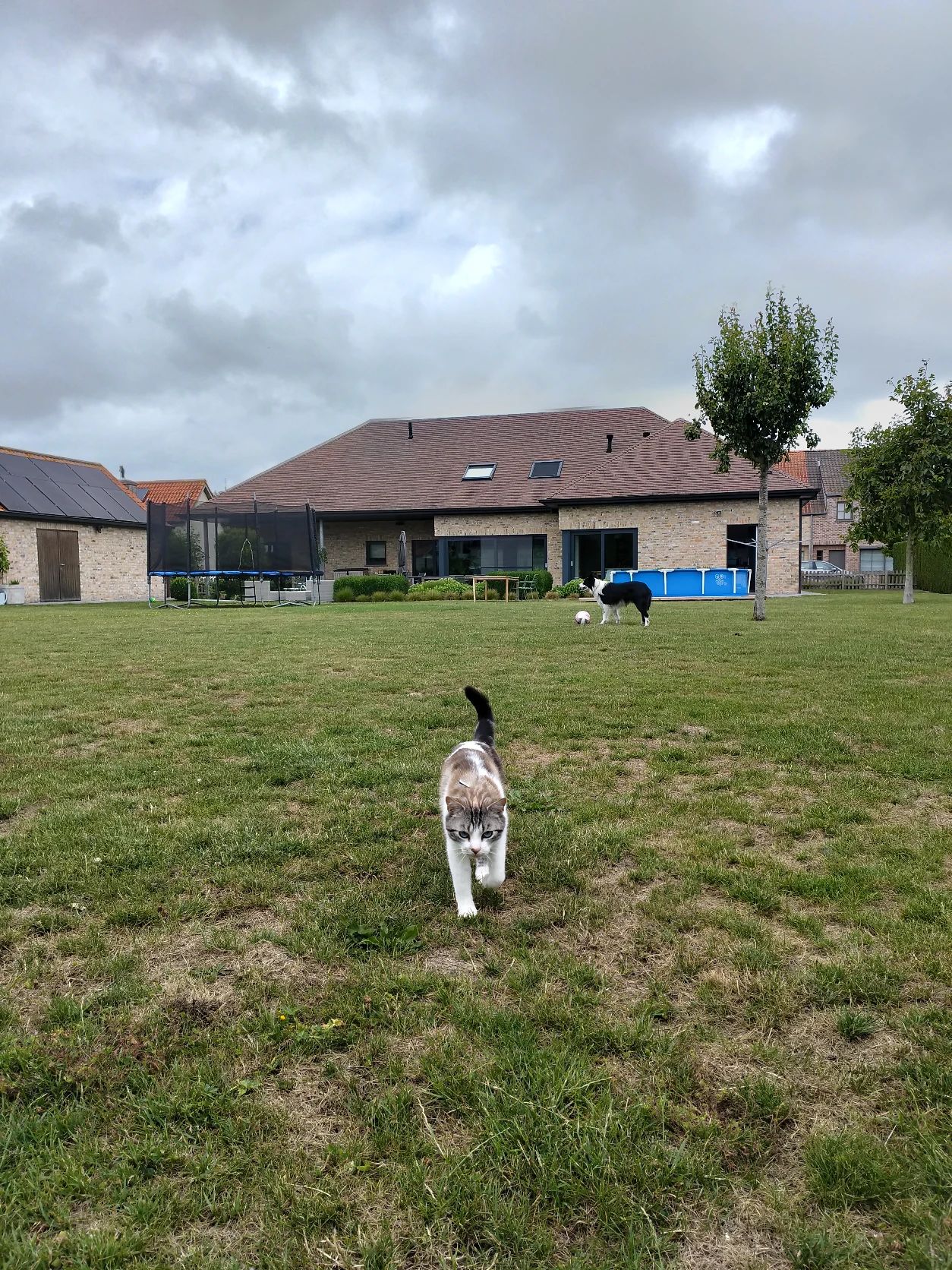 image-10