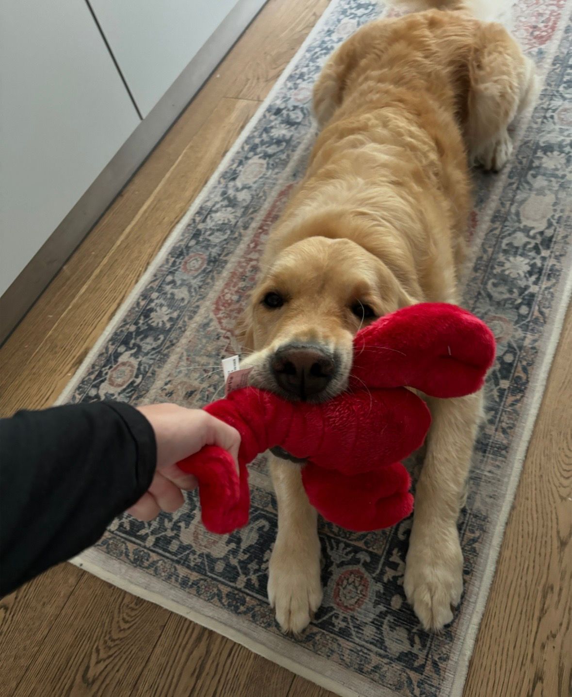 image-10
