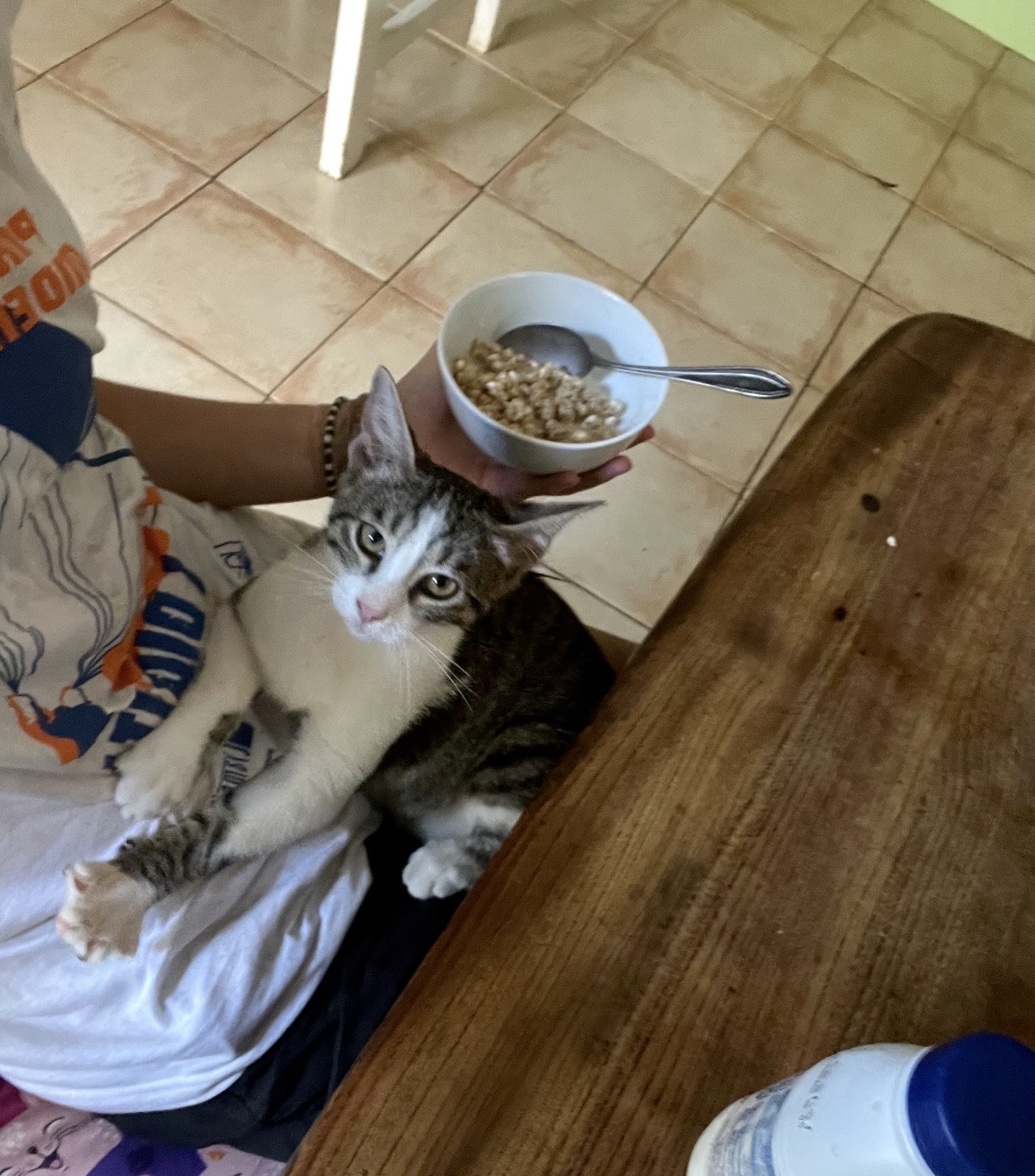 image-6