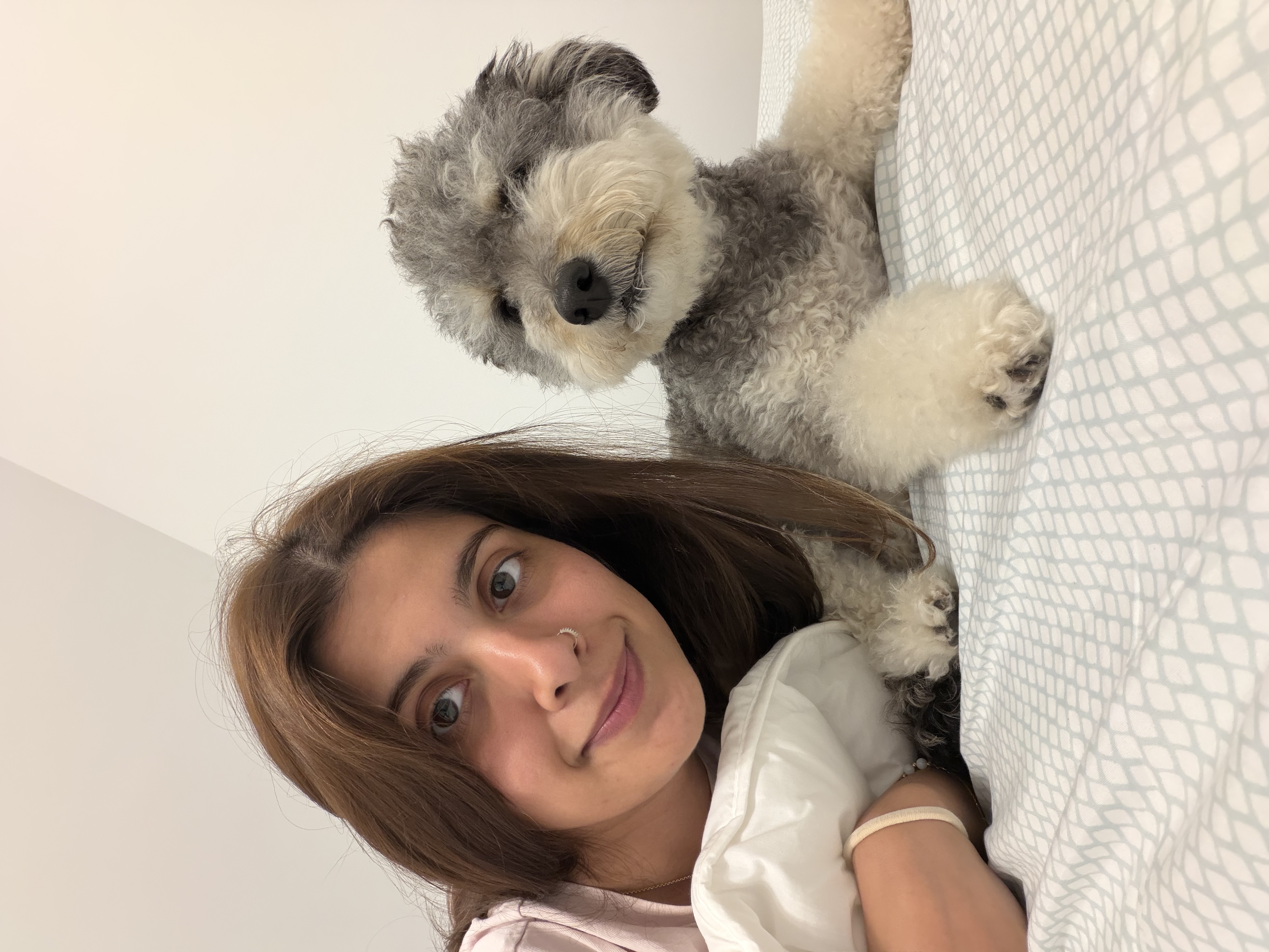 image-8