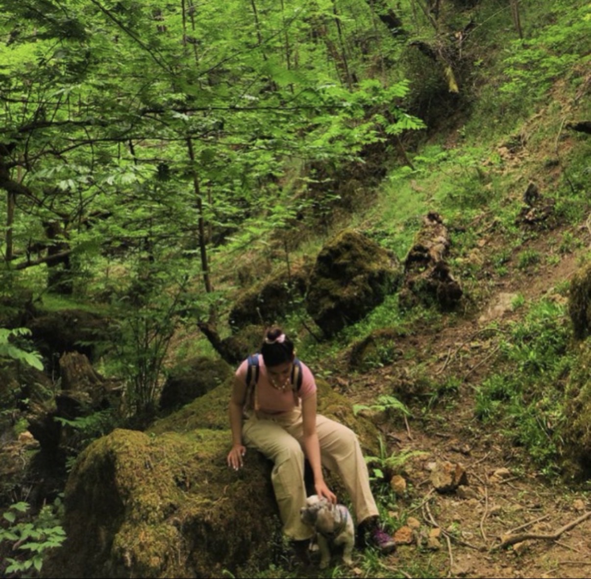 image-6