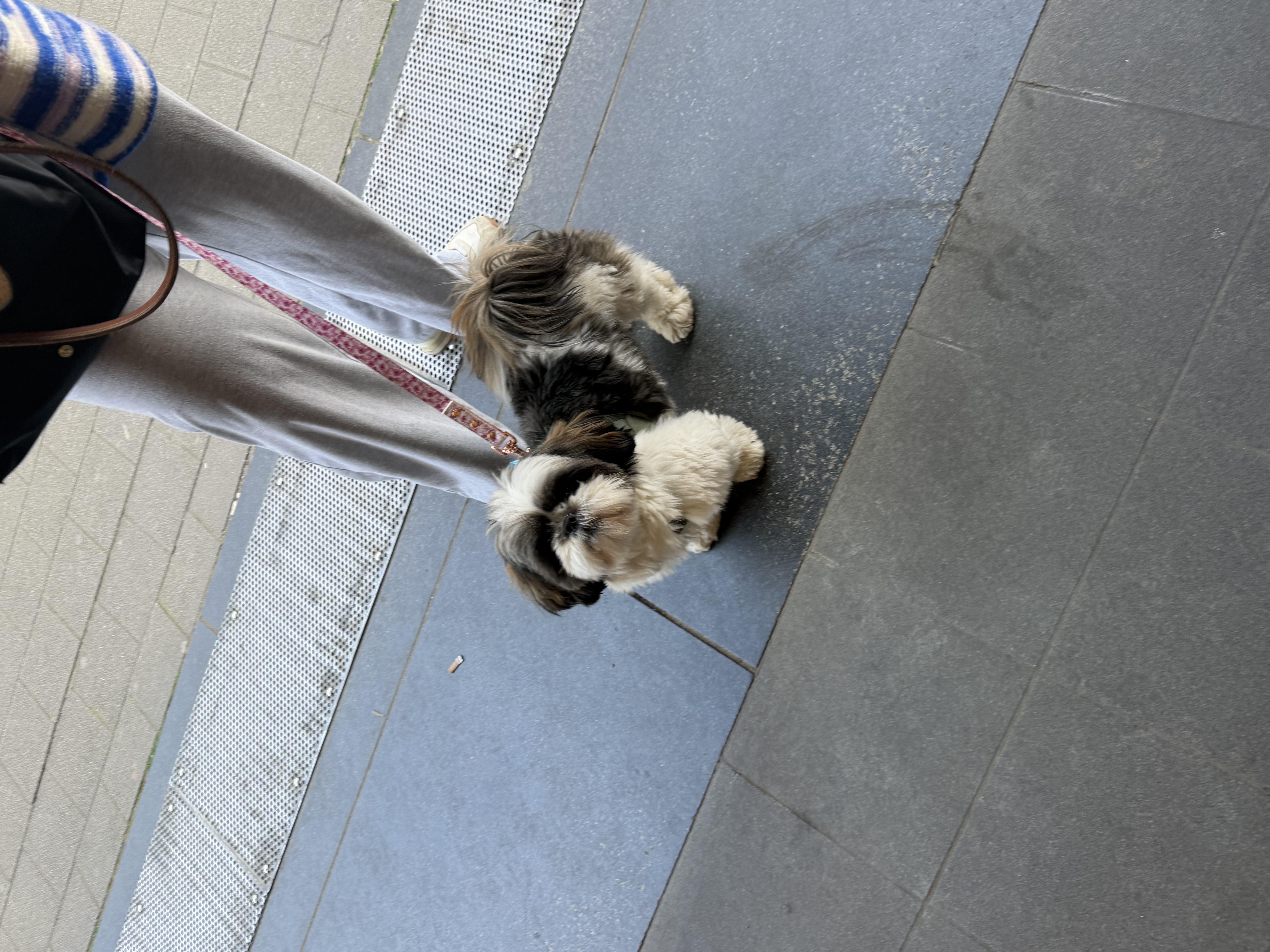 image-9