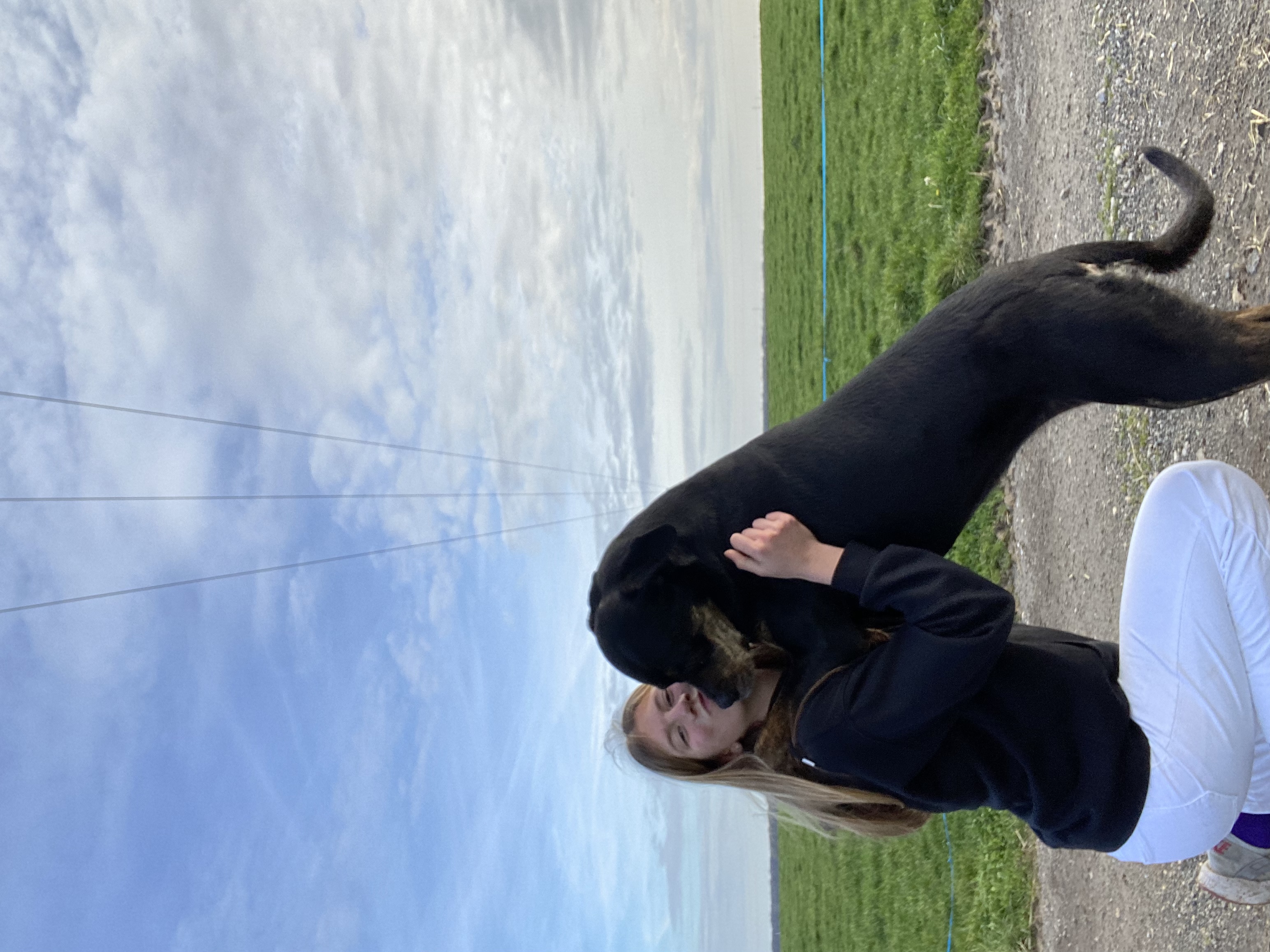image-7