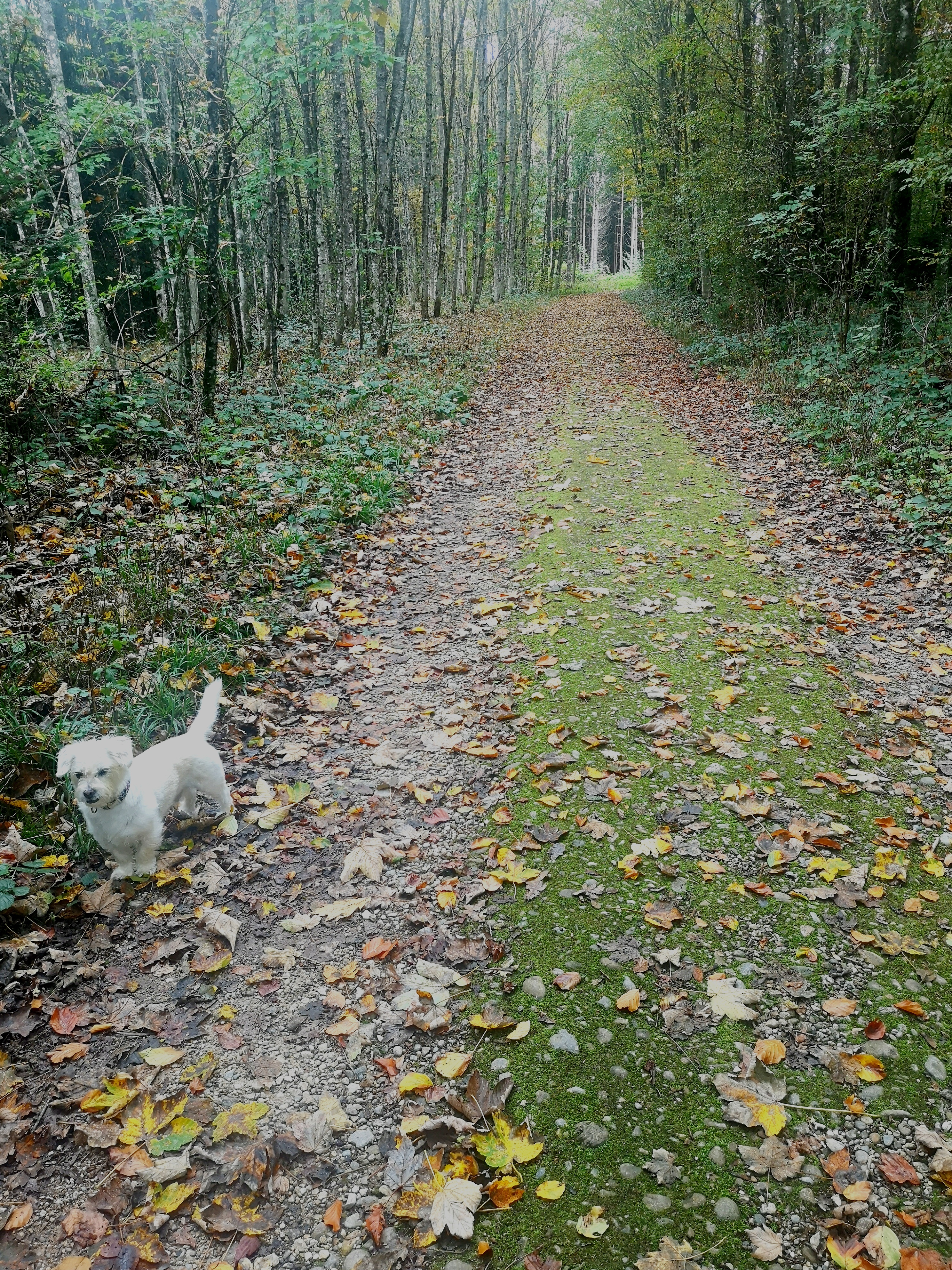 image-4
