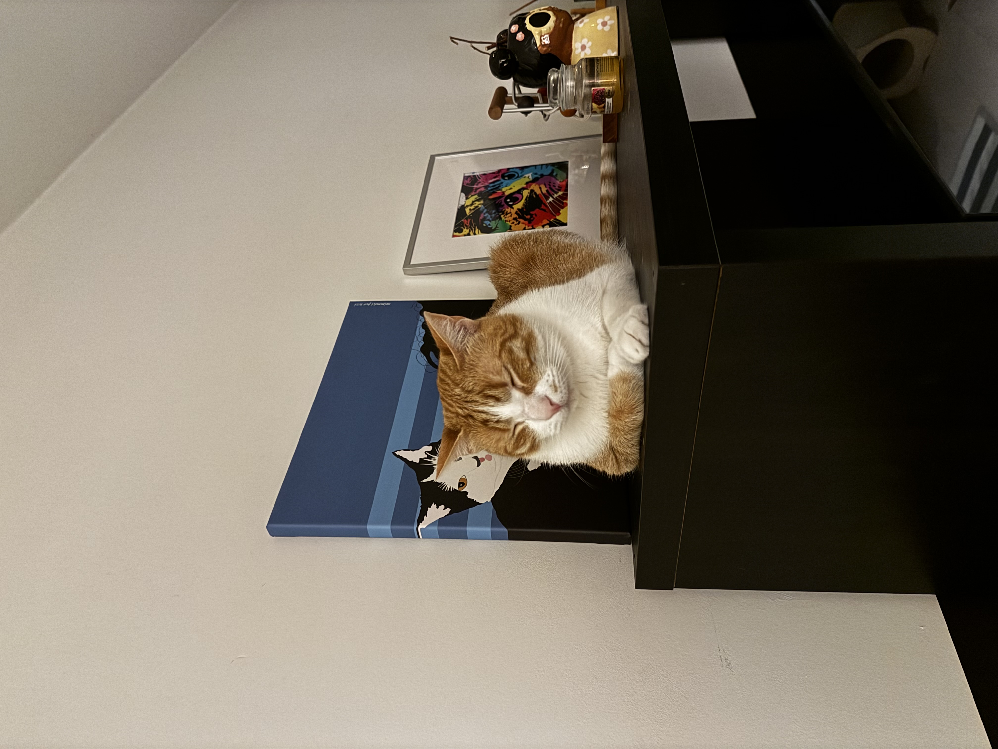 image-6