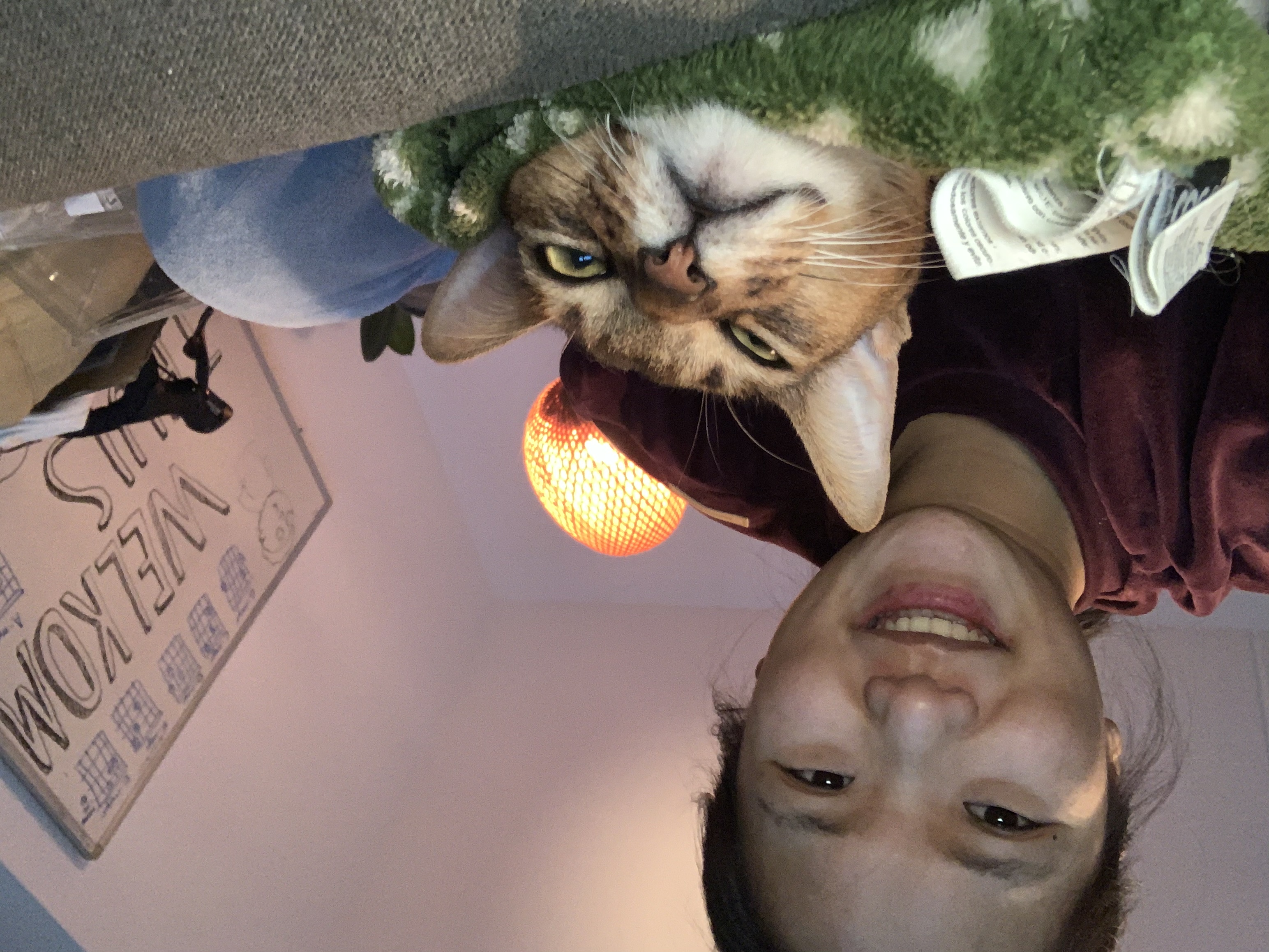 image-9
