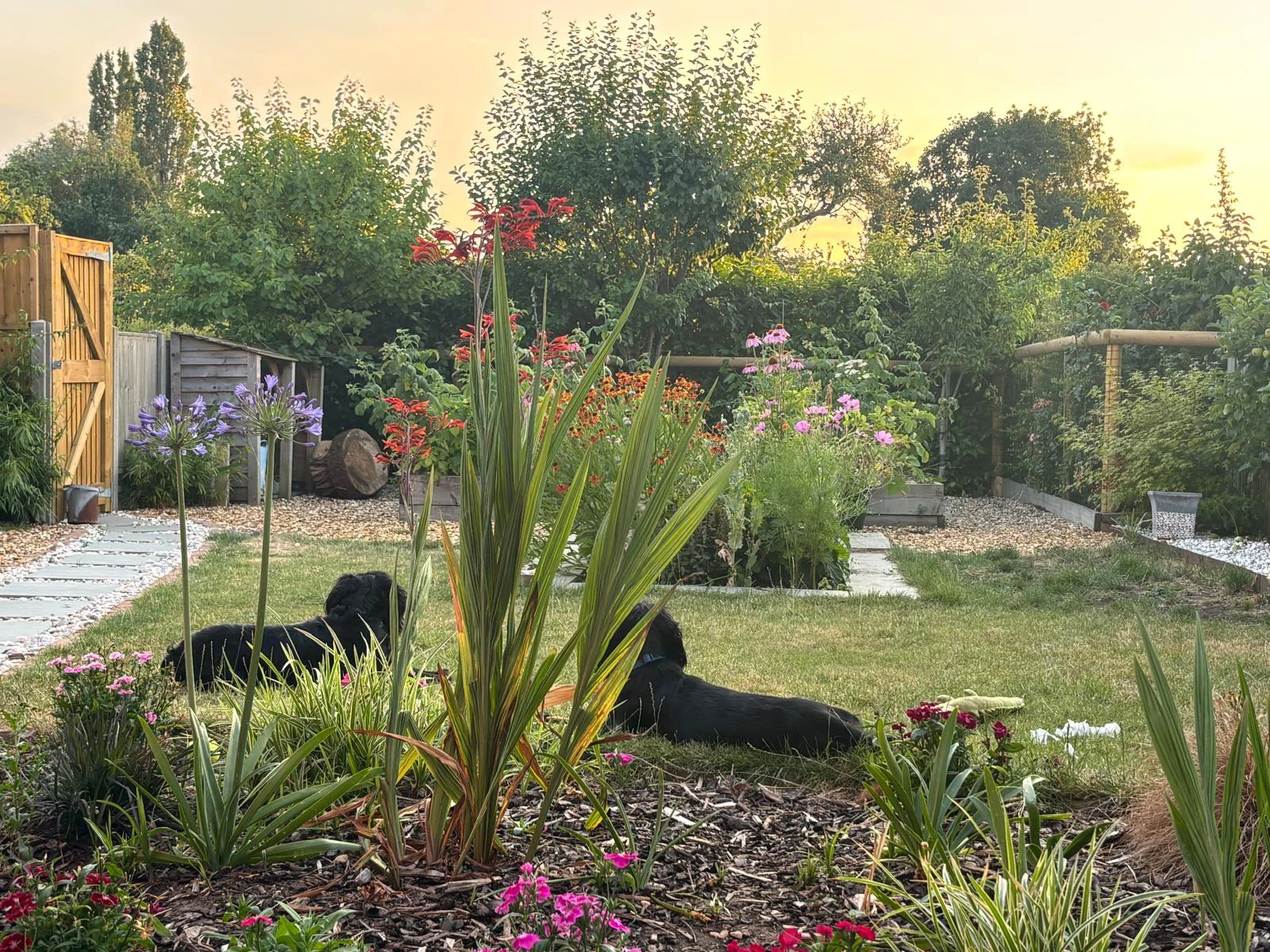 image-11