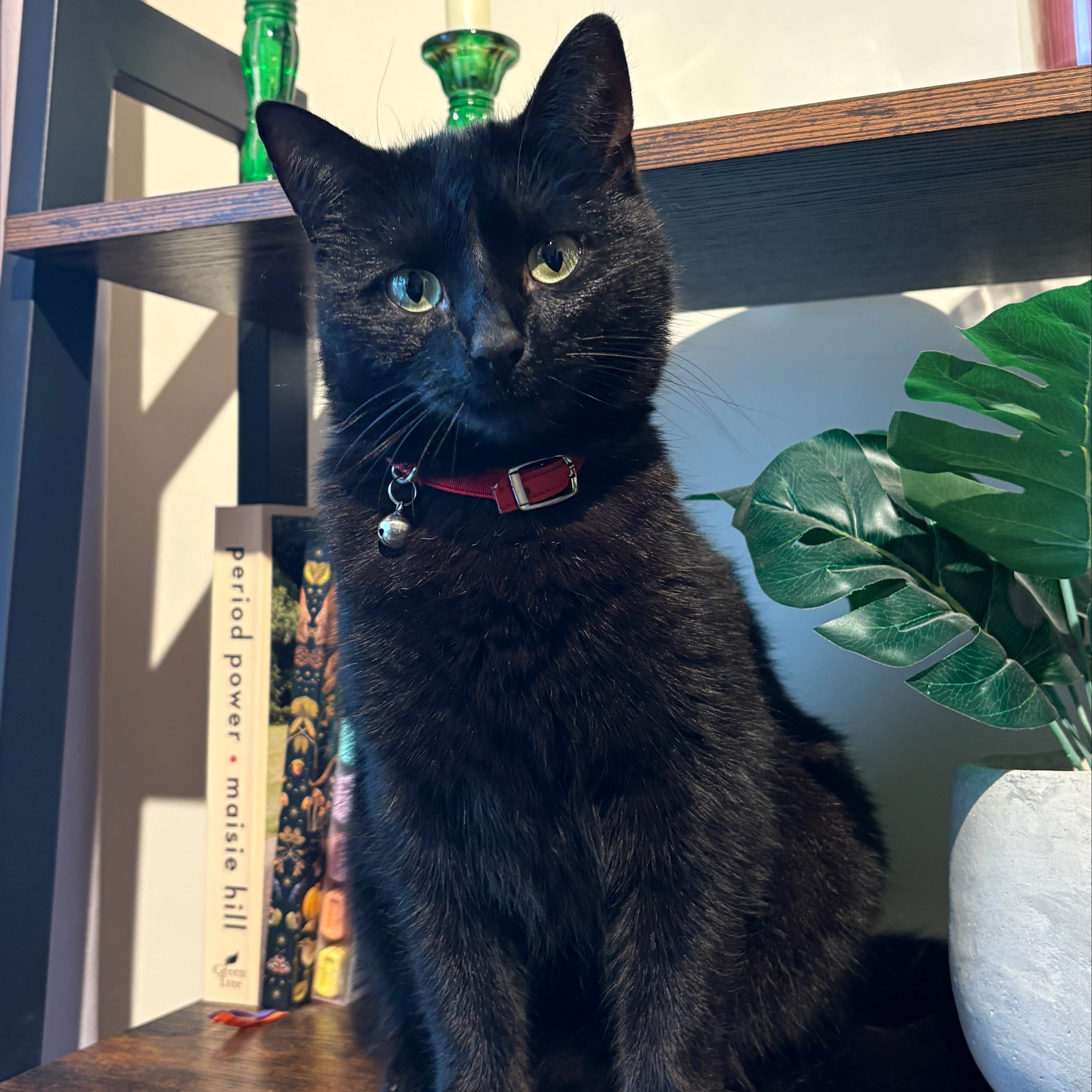 Wednesday