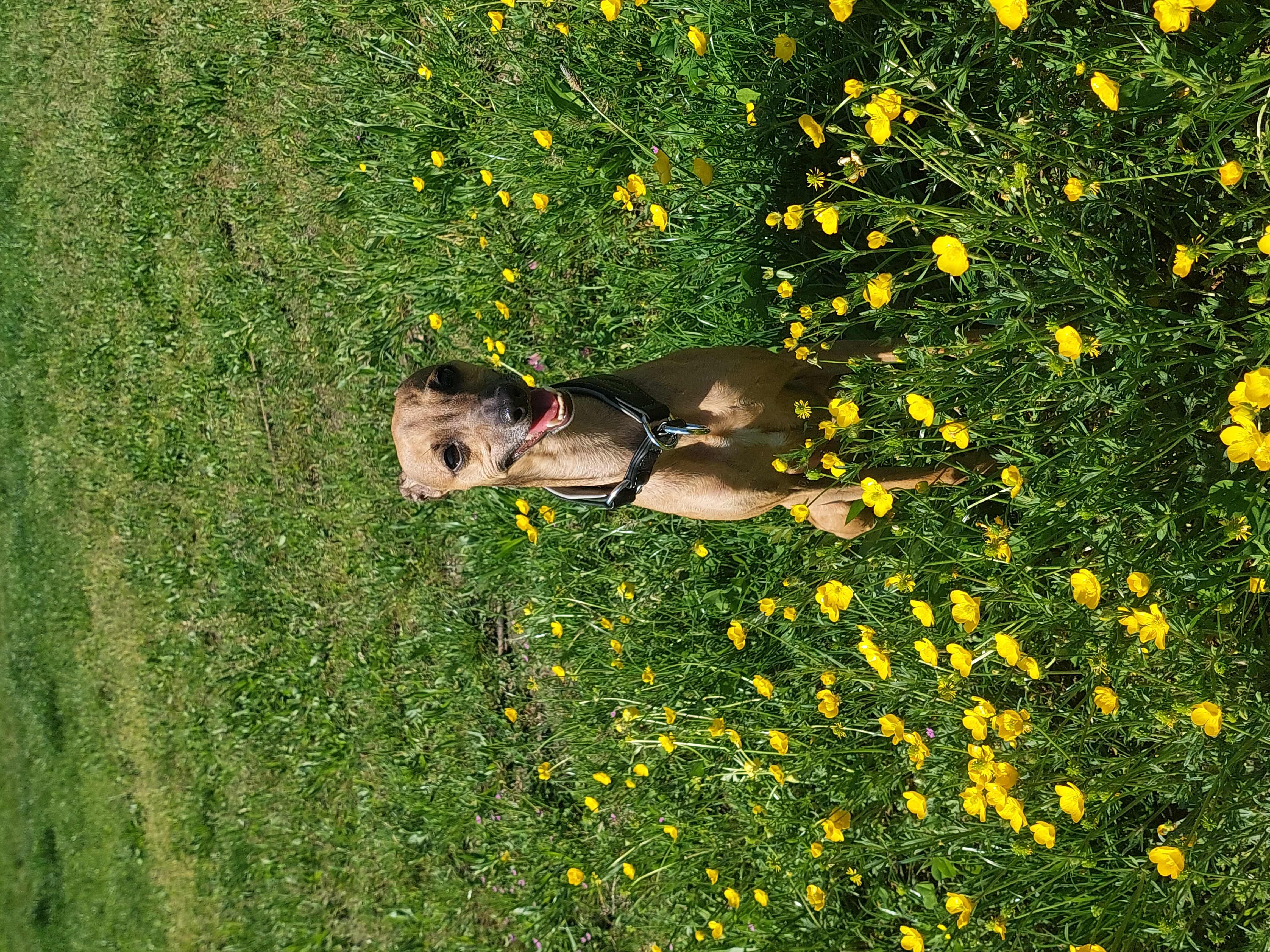 image-7