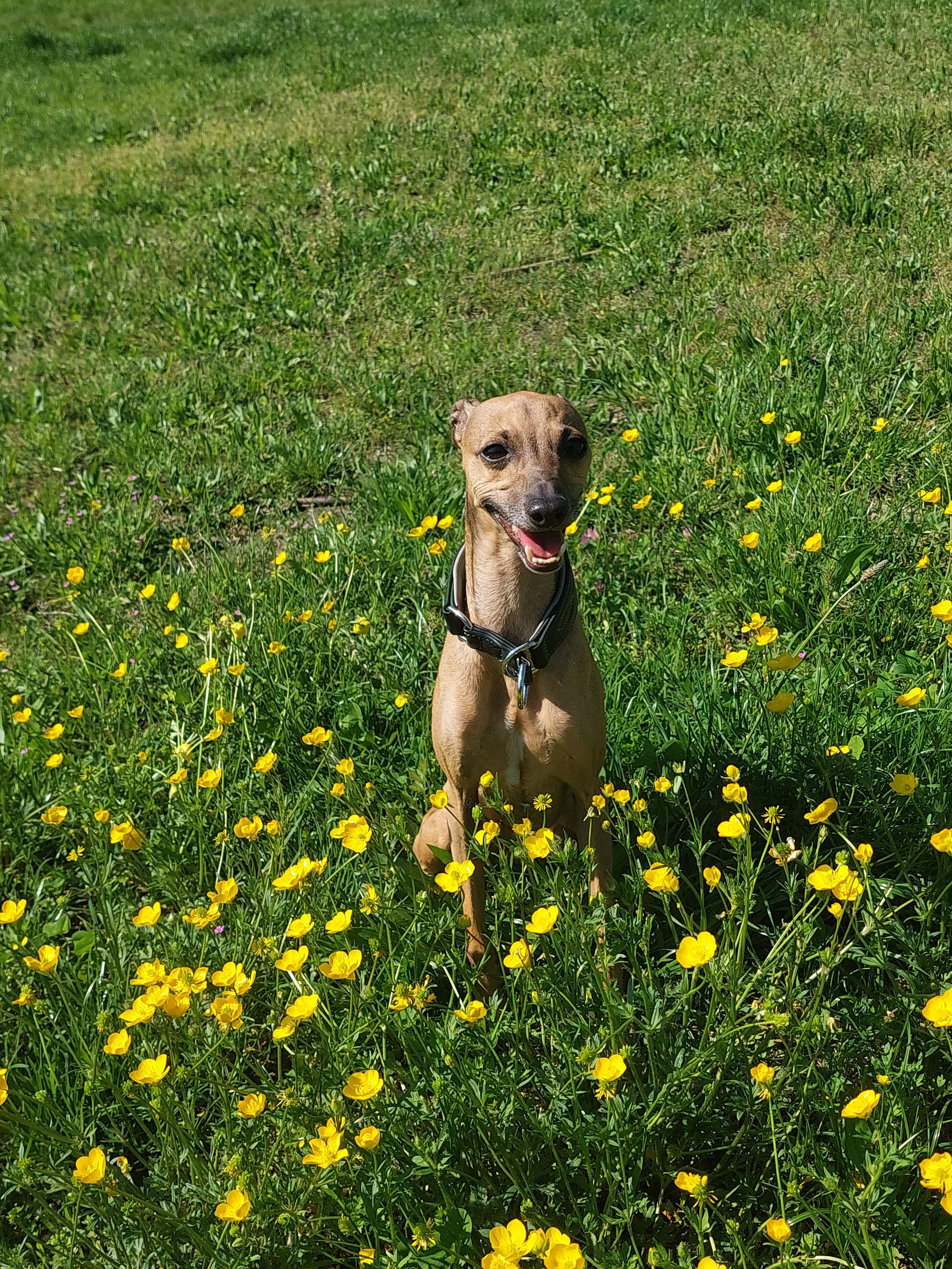image-7