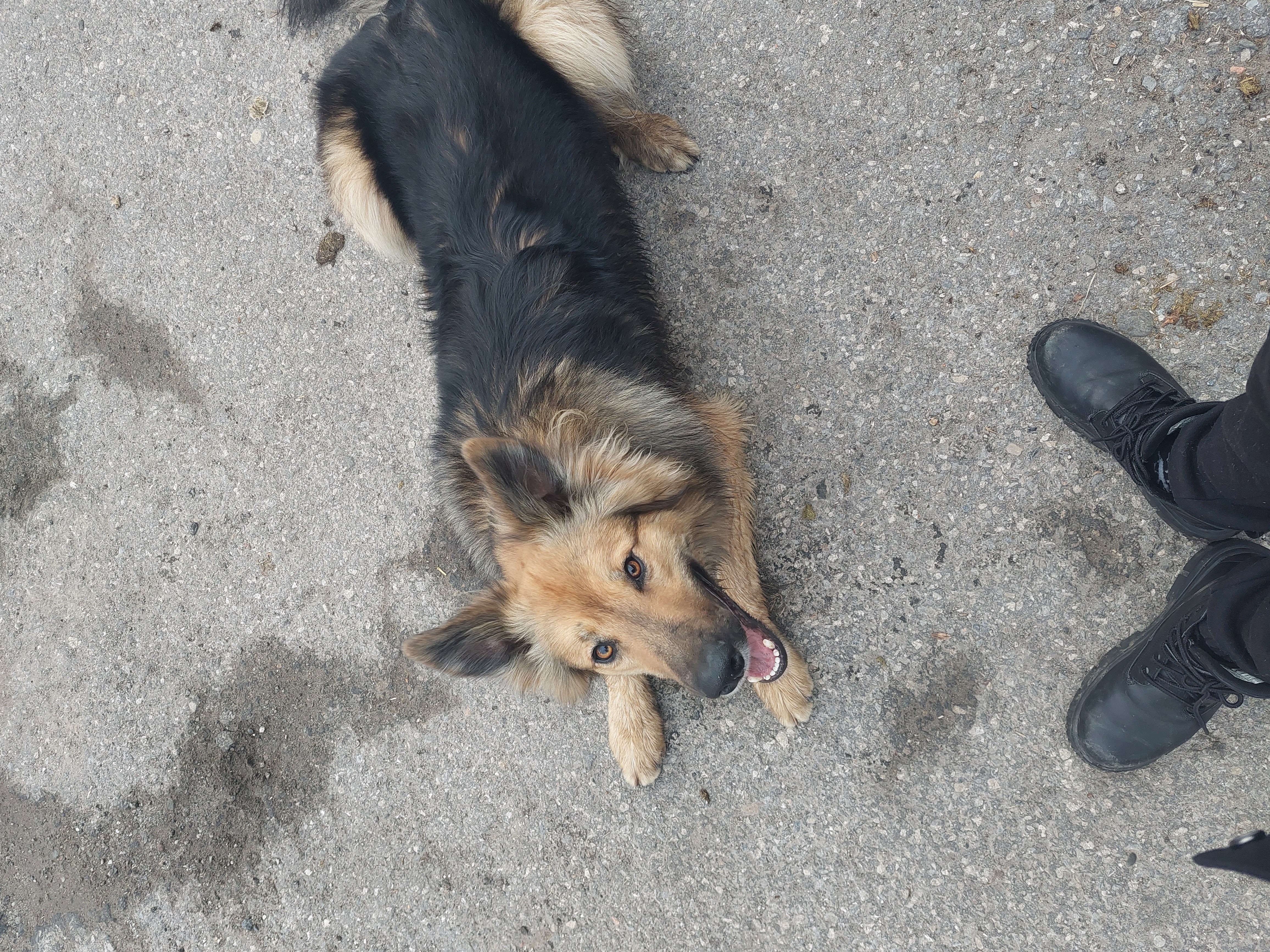 image-9