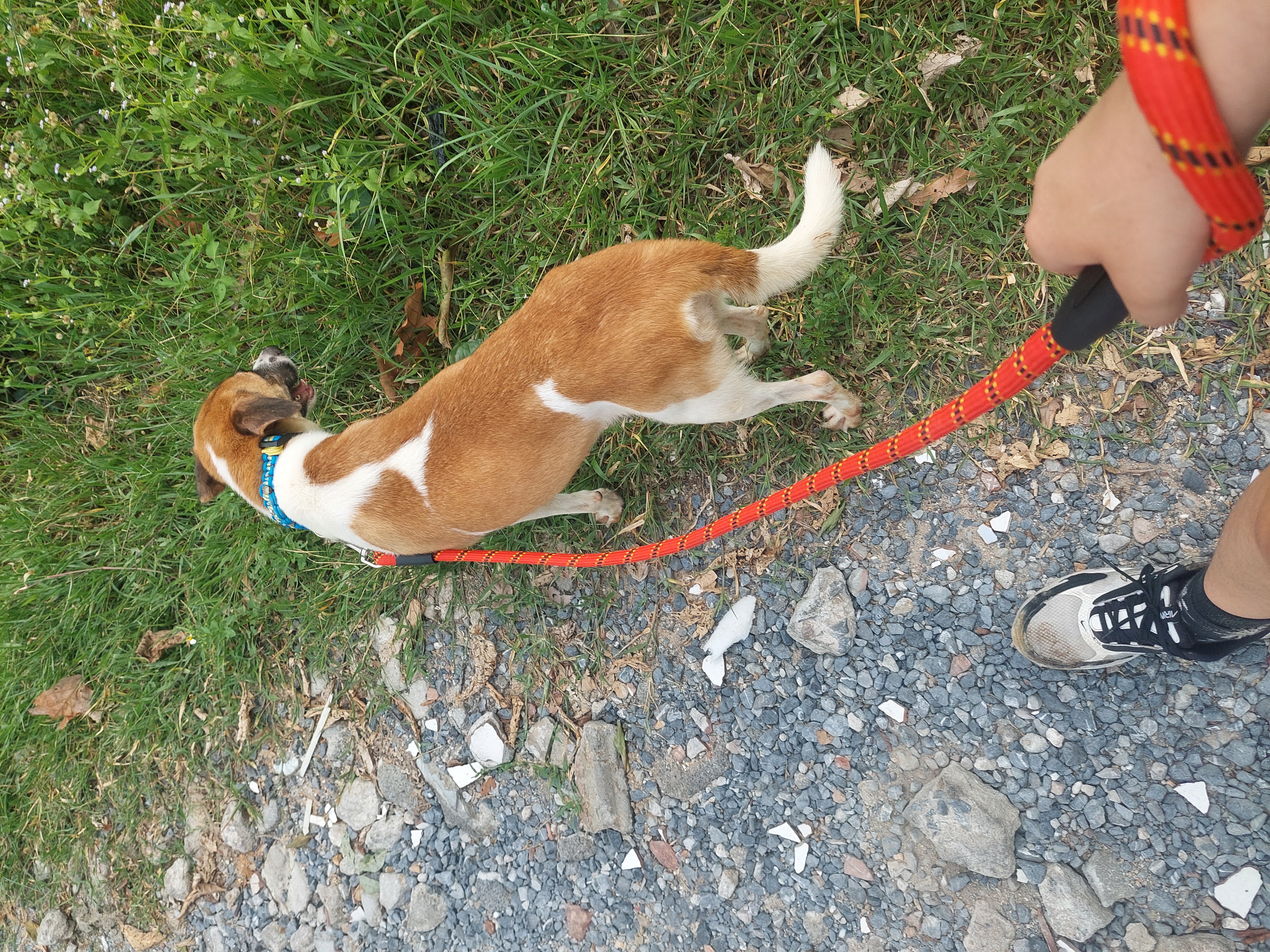 image-13