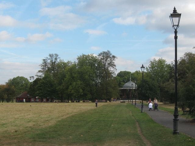 image-17