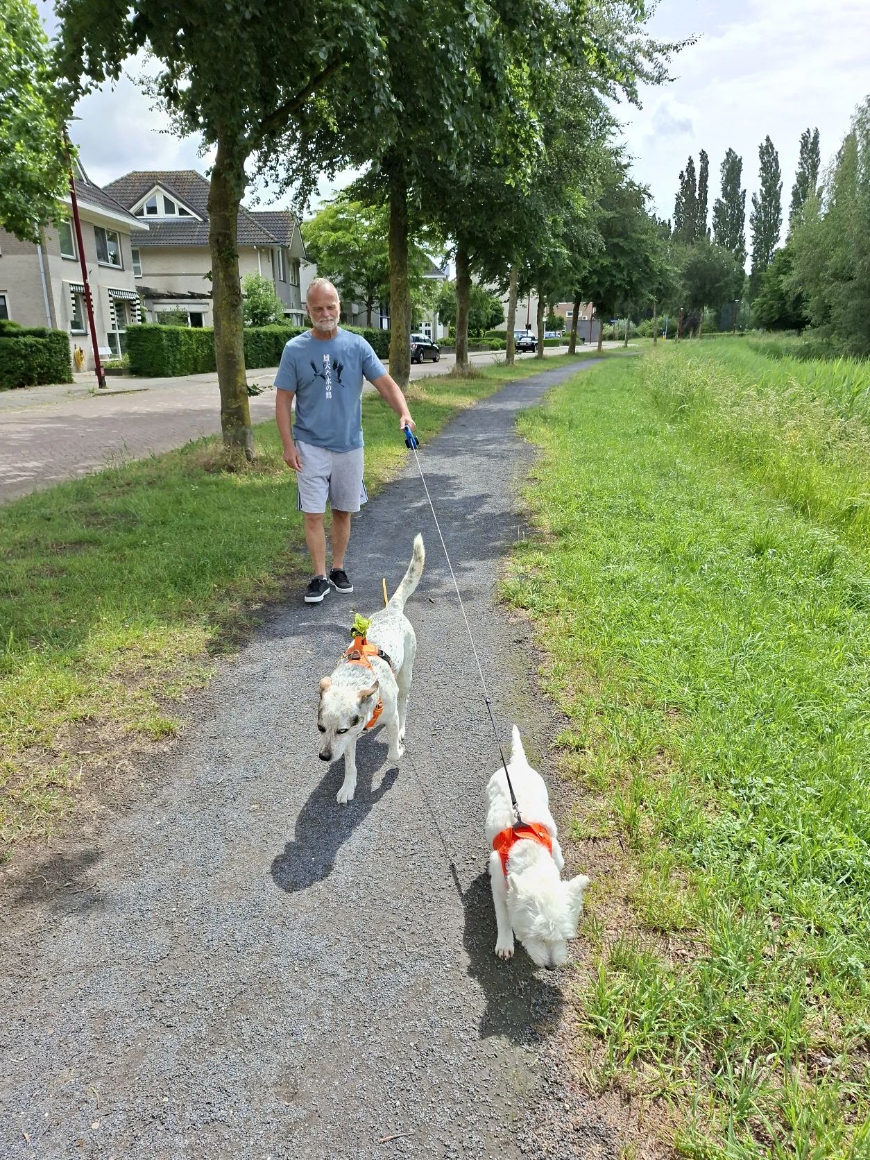 image-18