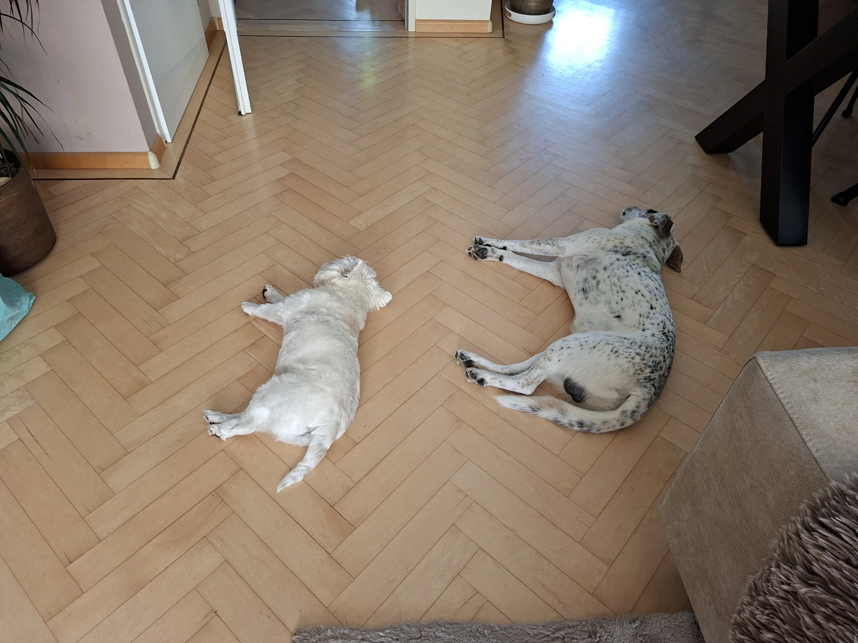image-37