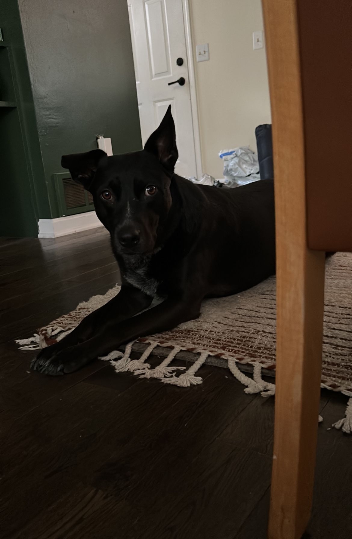 image-5
