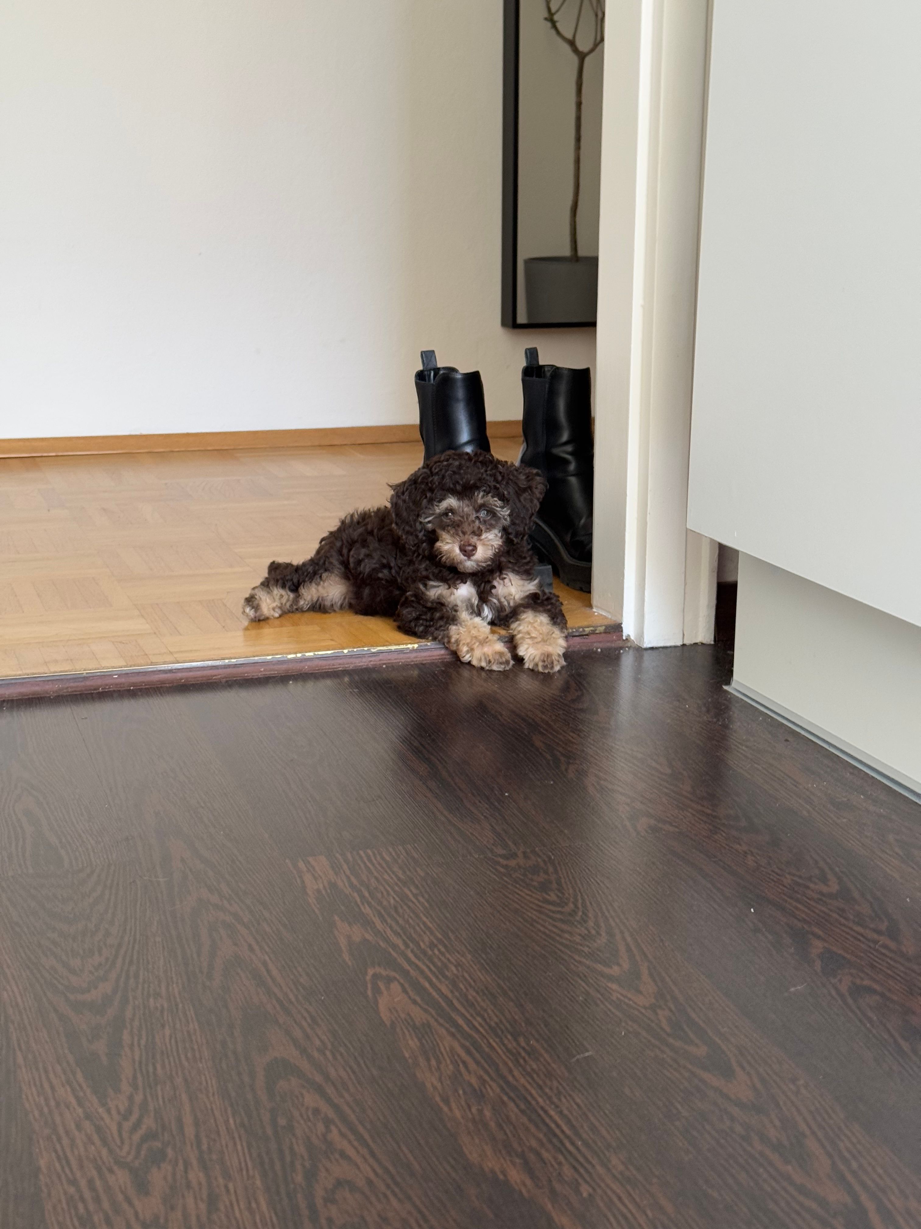 image-9