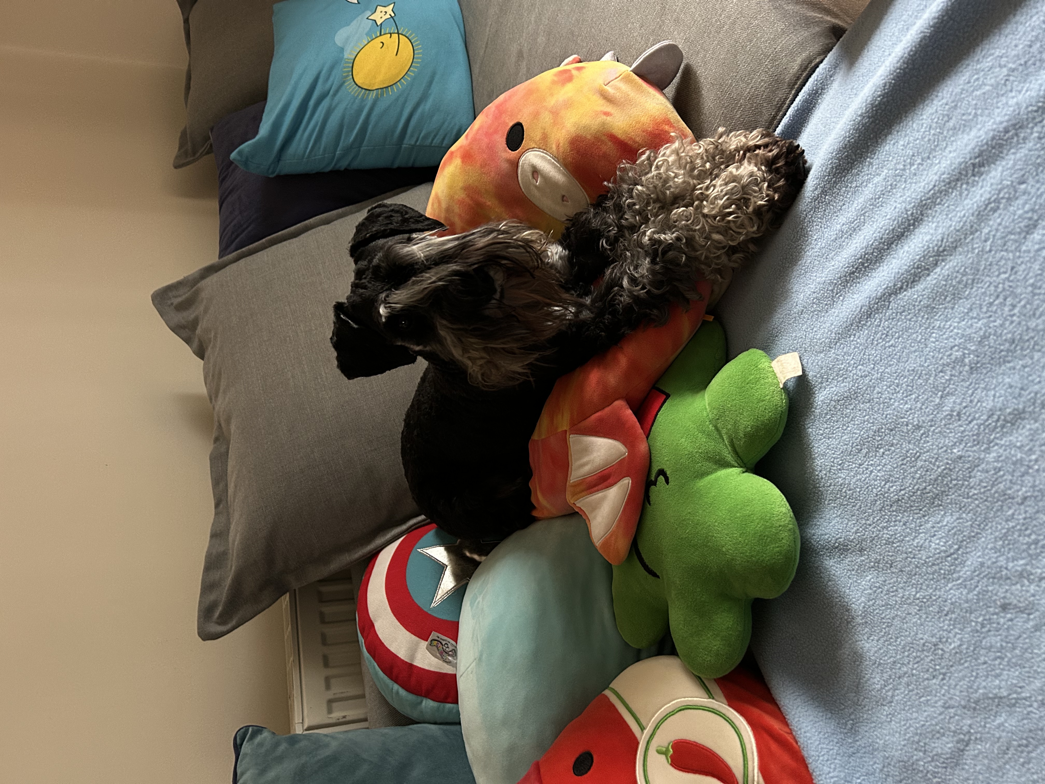 image-6
