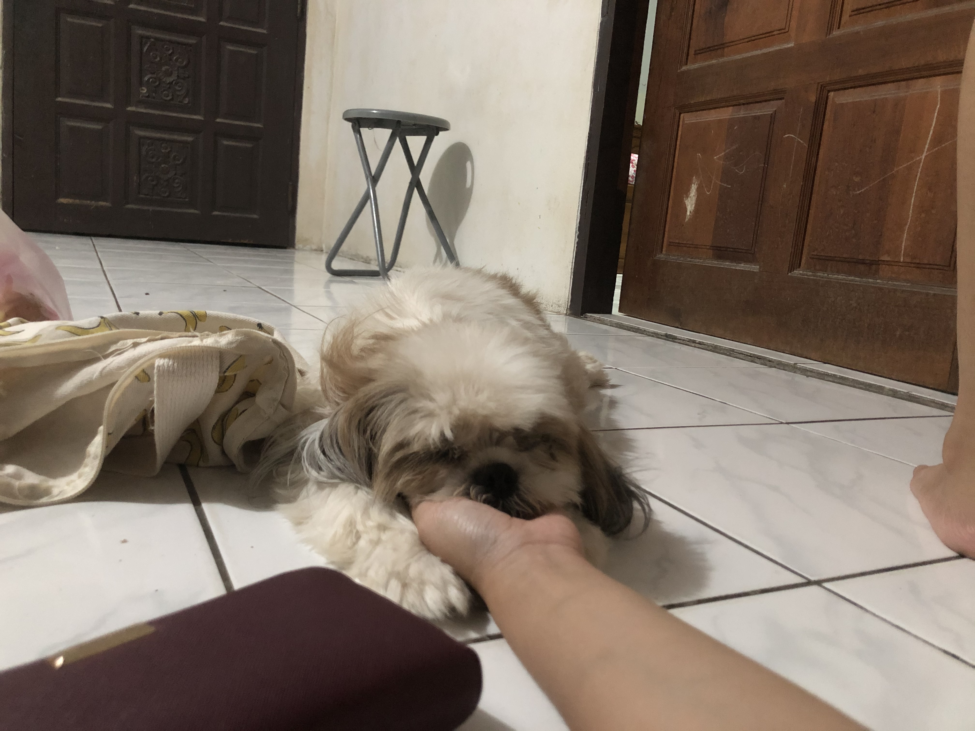 image-10