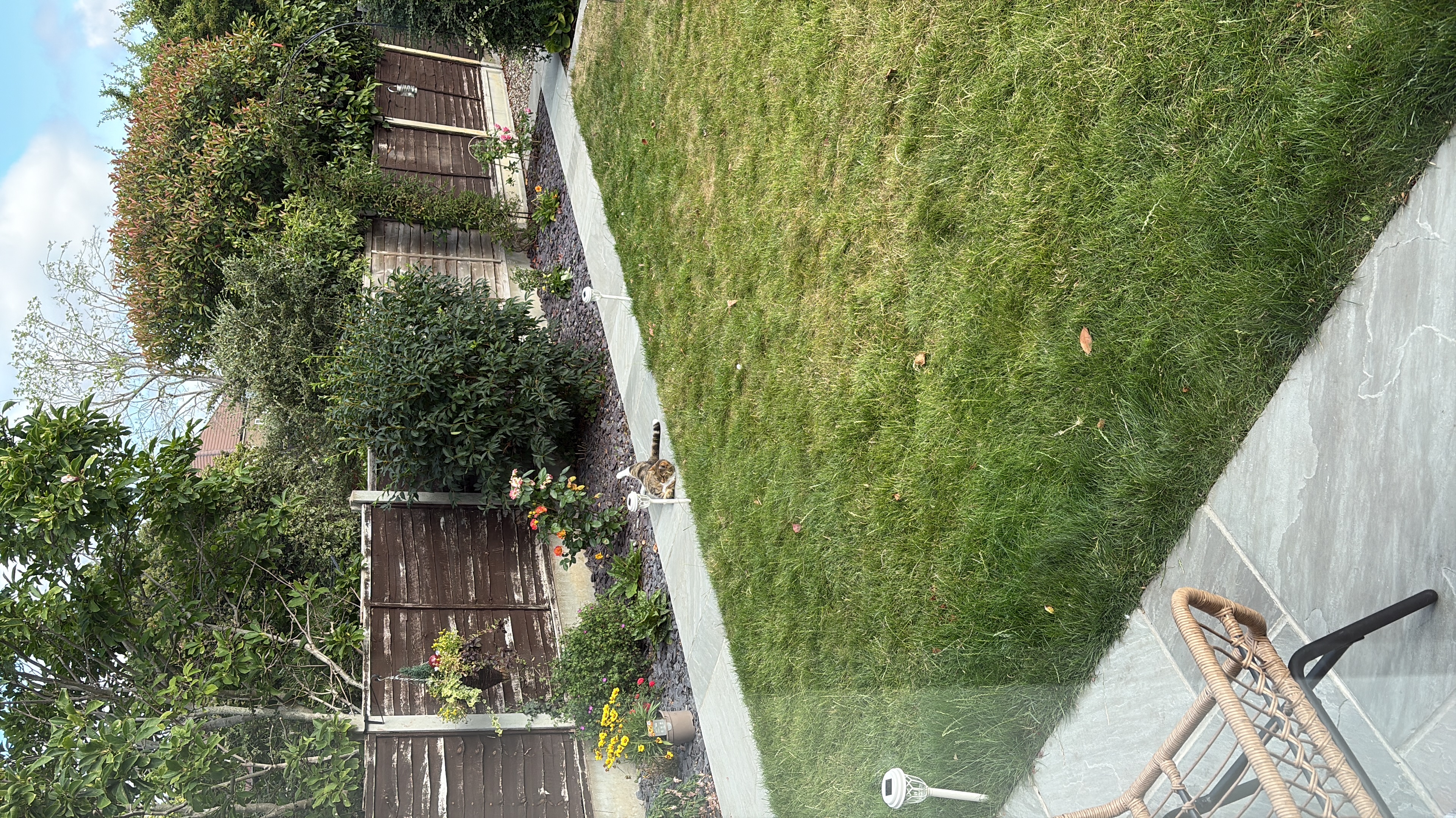 image-12