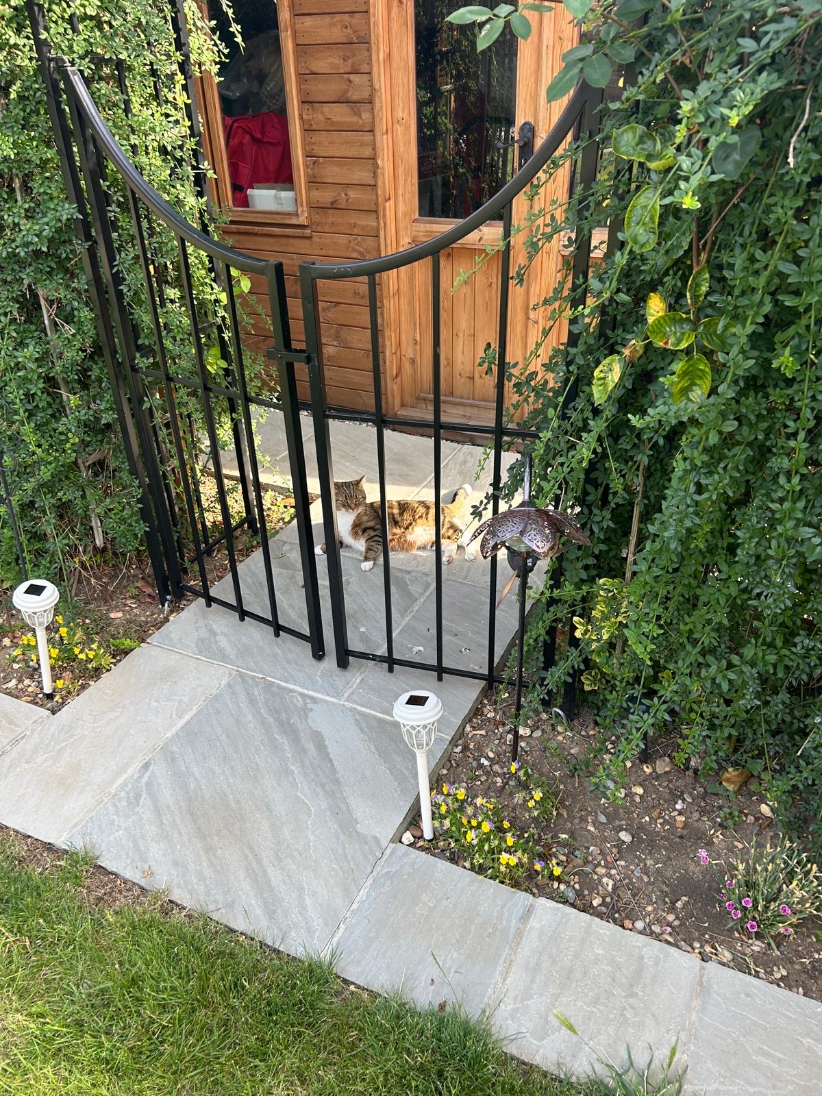 image-13