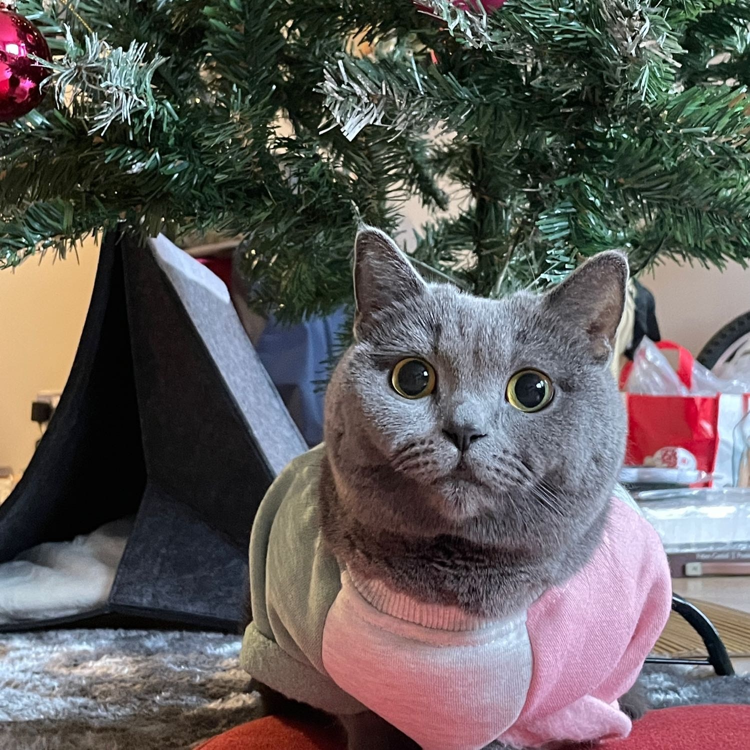 Grey grey