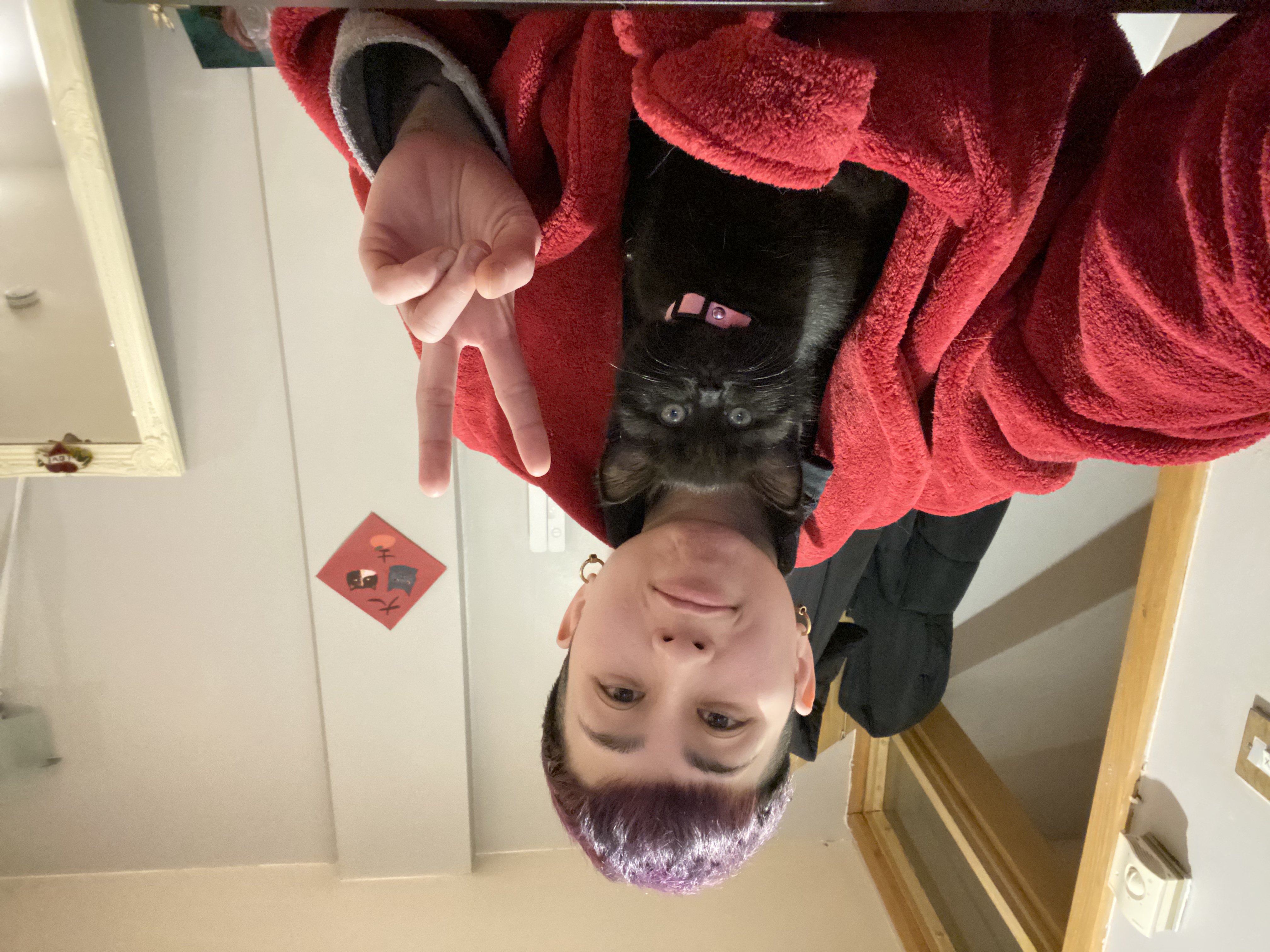 image-6