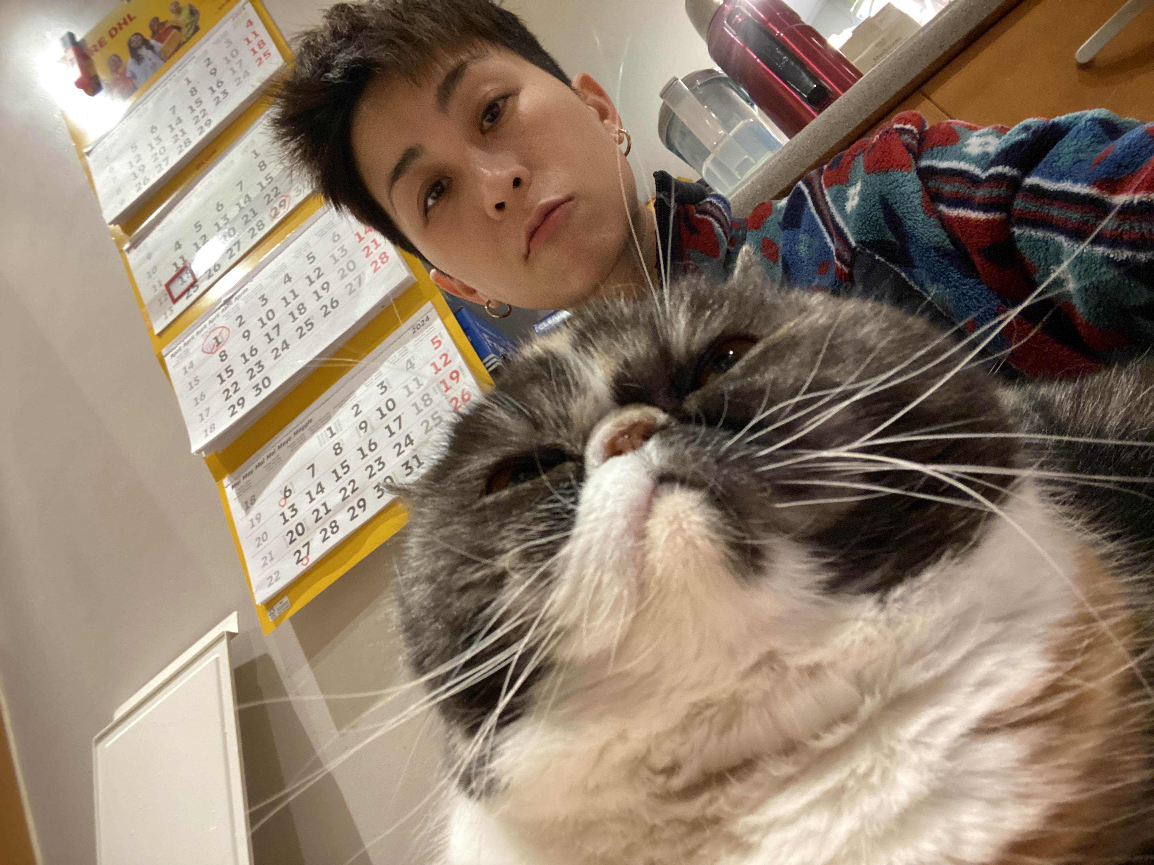 image-7