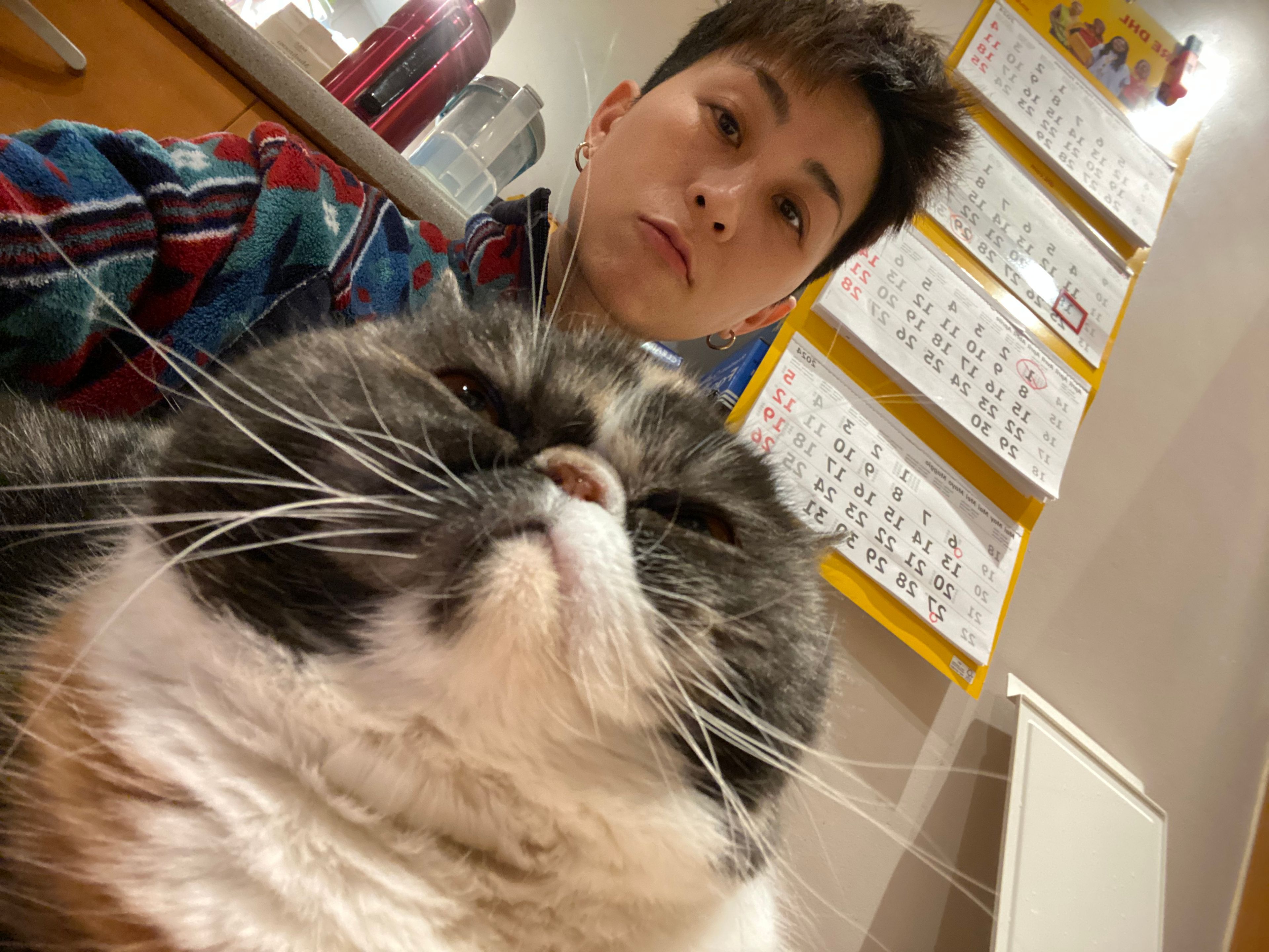 image-7