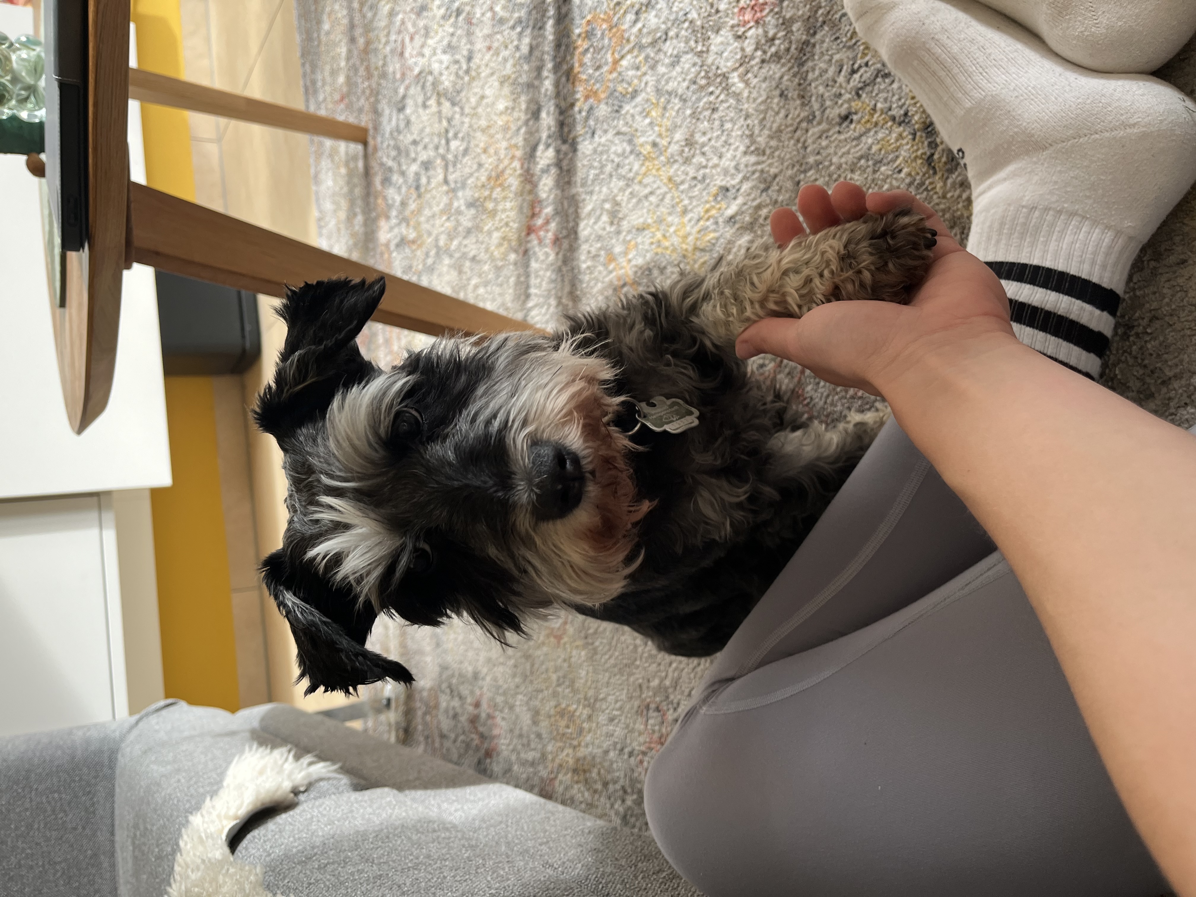 image-7