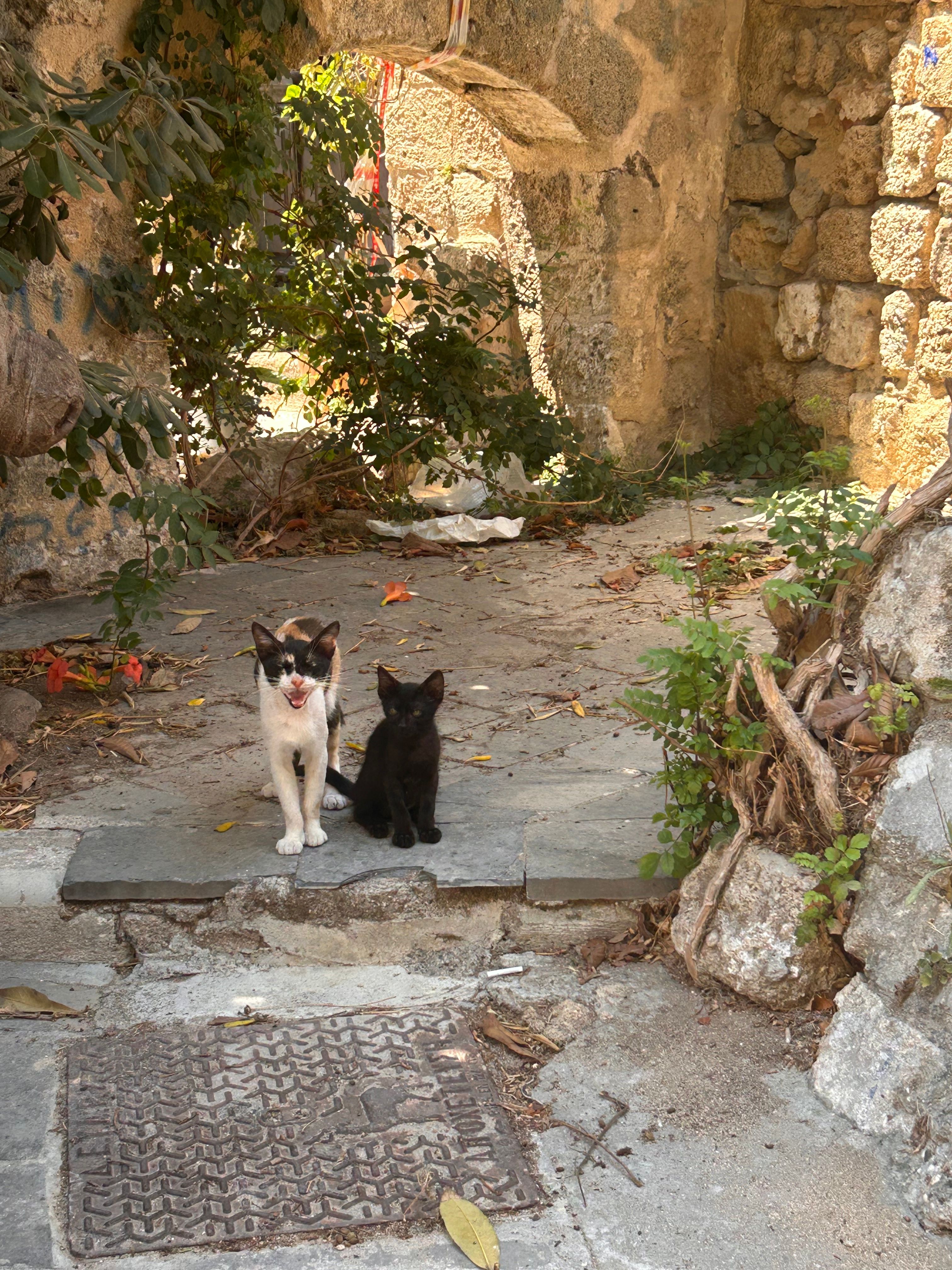 image-10
