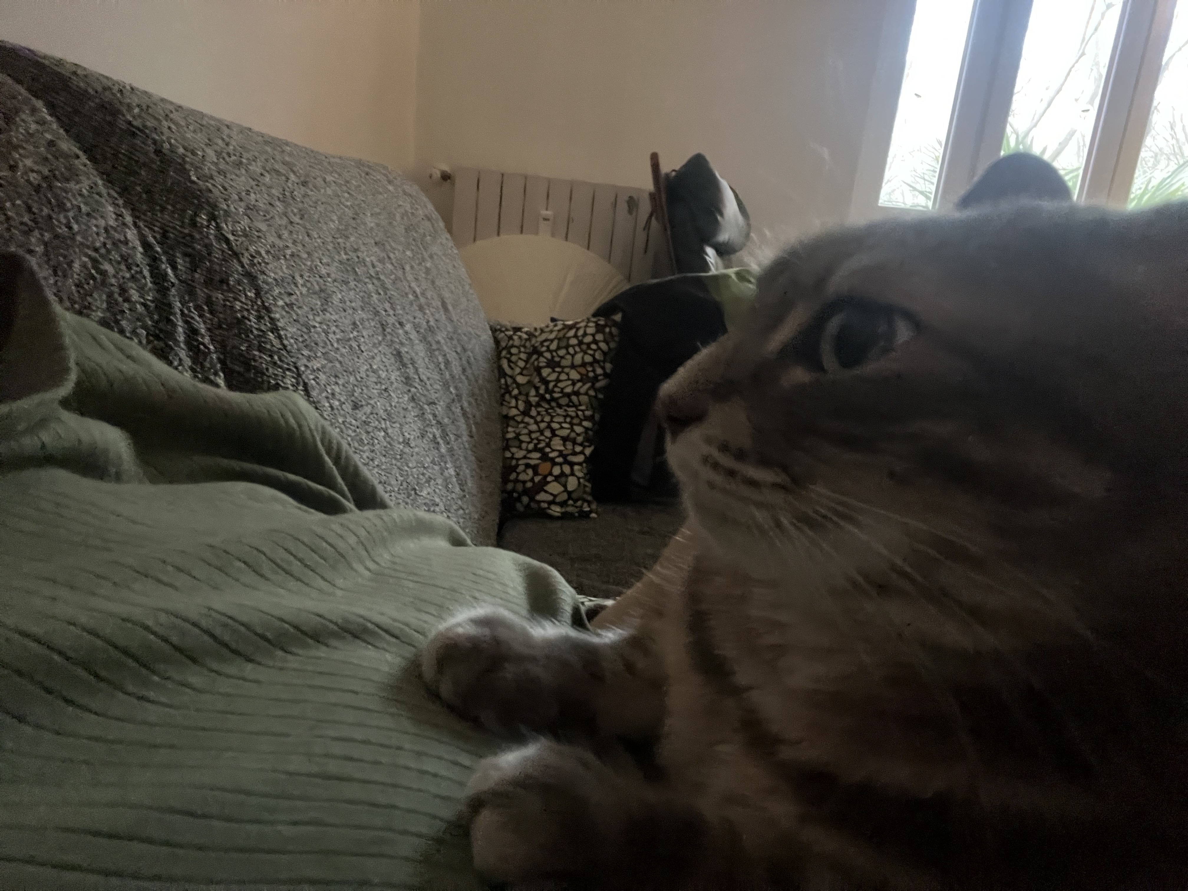image-6