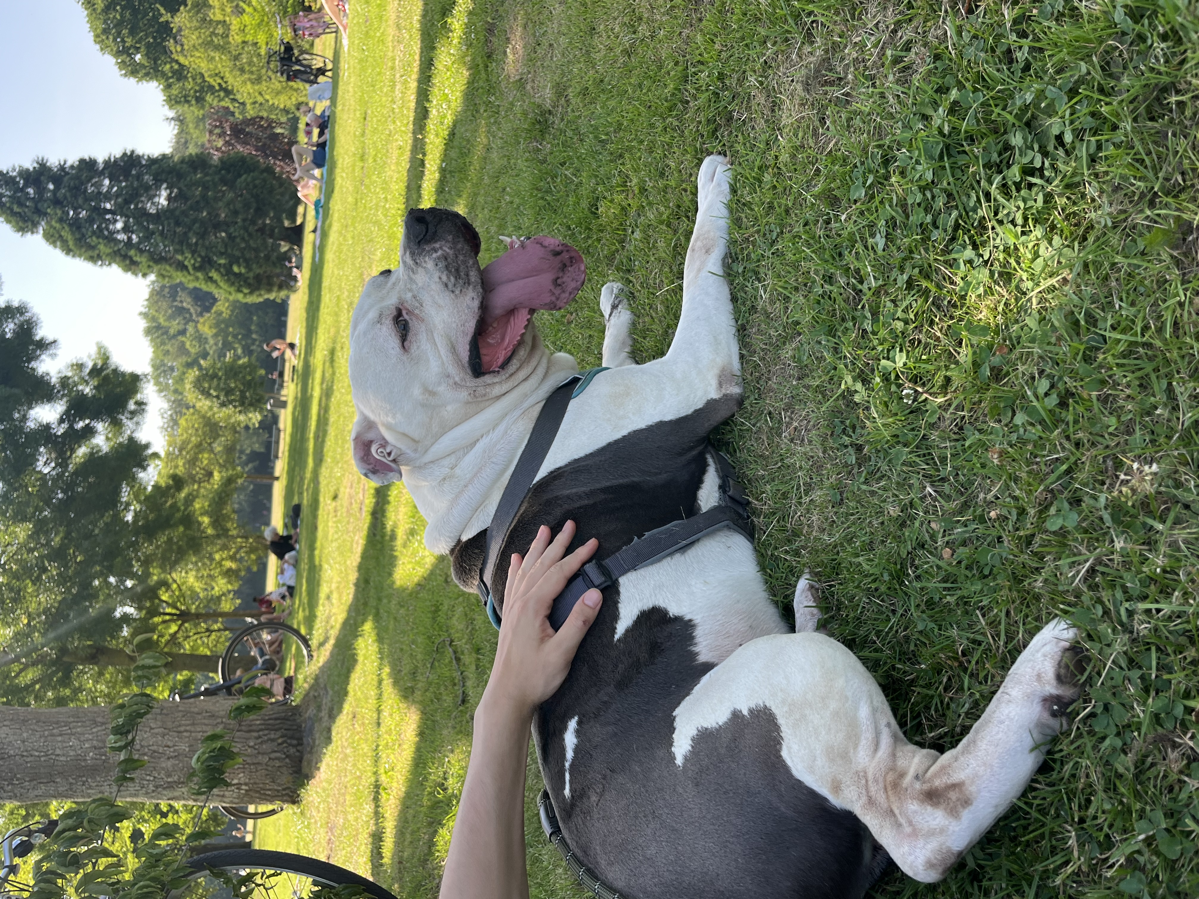 image-14