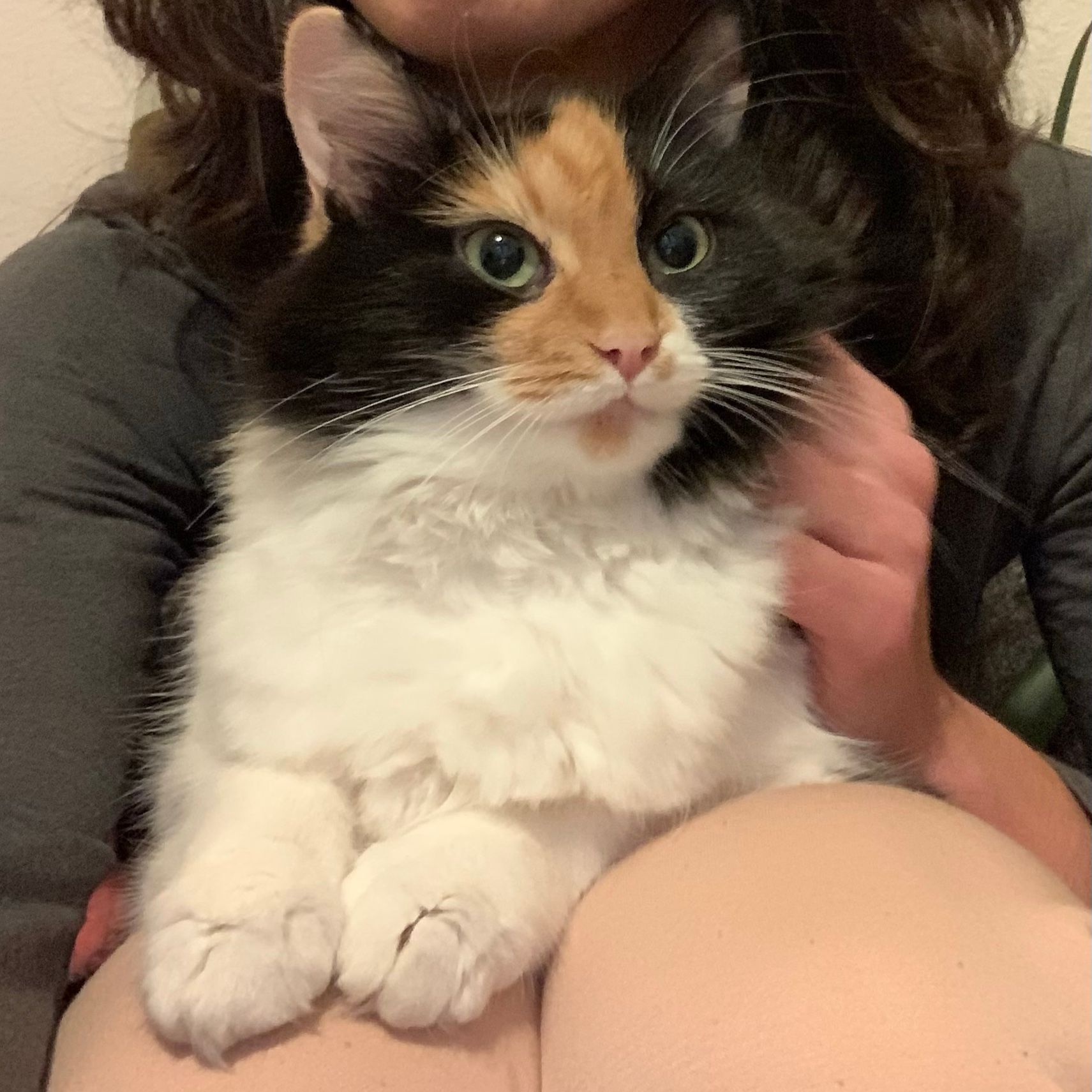 Daisy đŒ