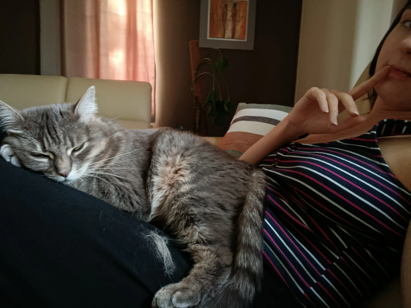 image-13