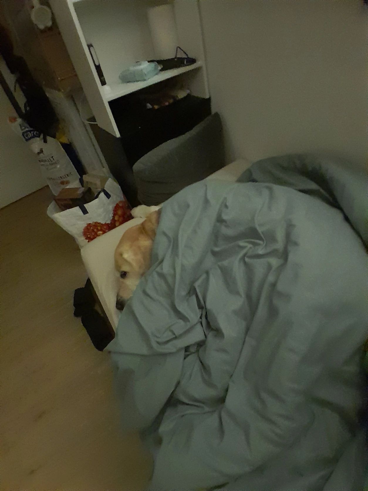 image-20