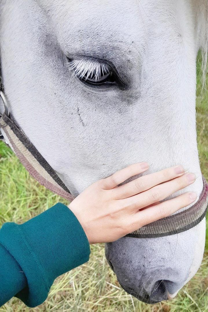 image-18