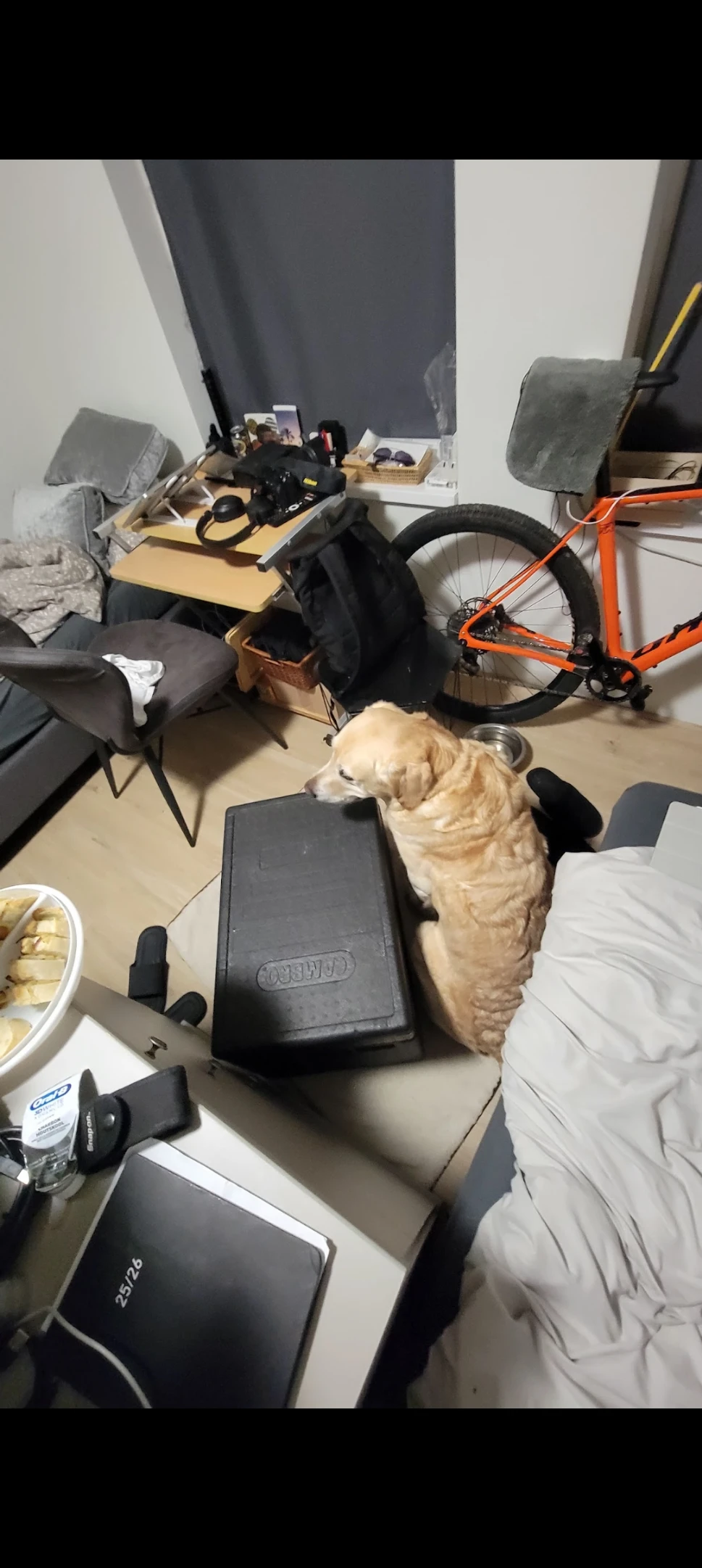 image-28