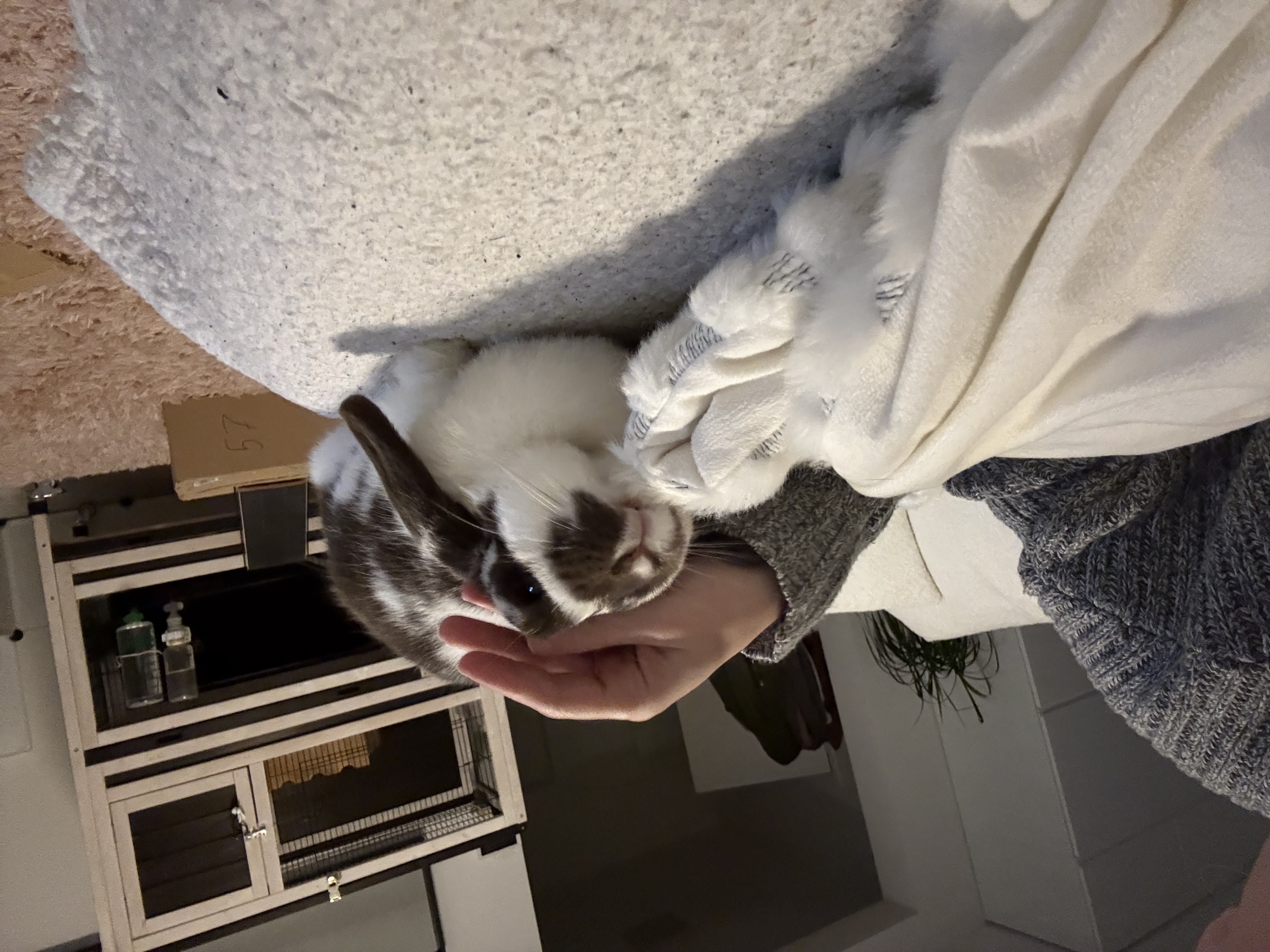 image-9