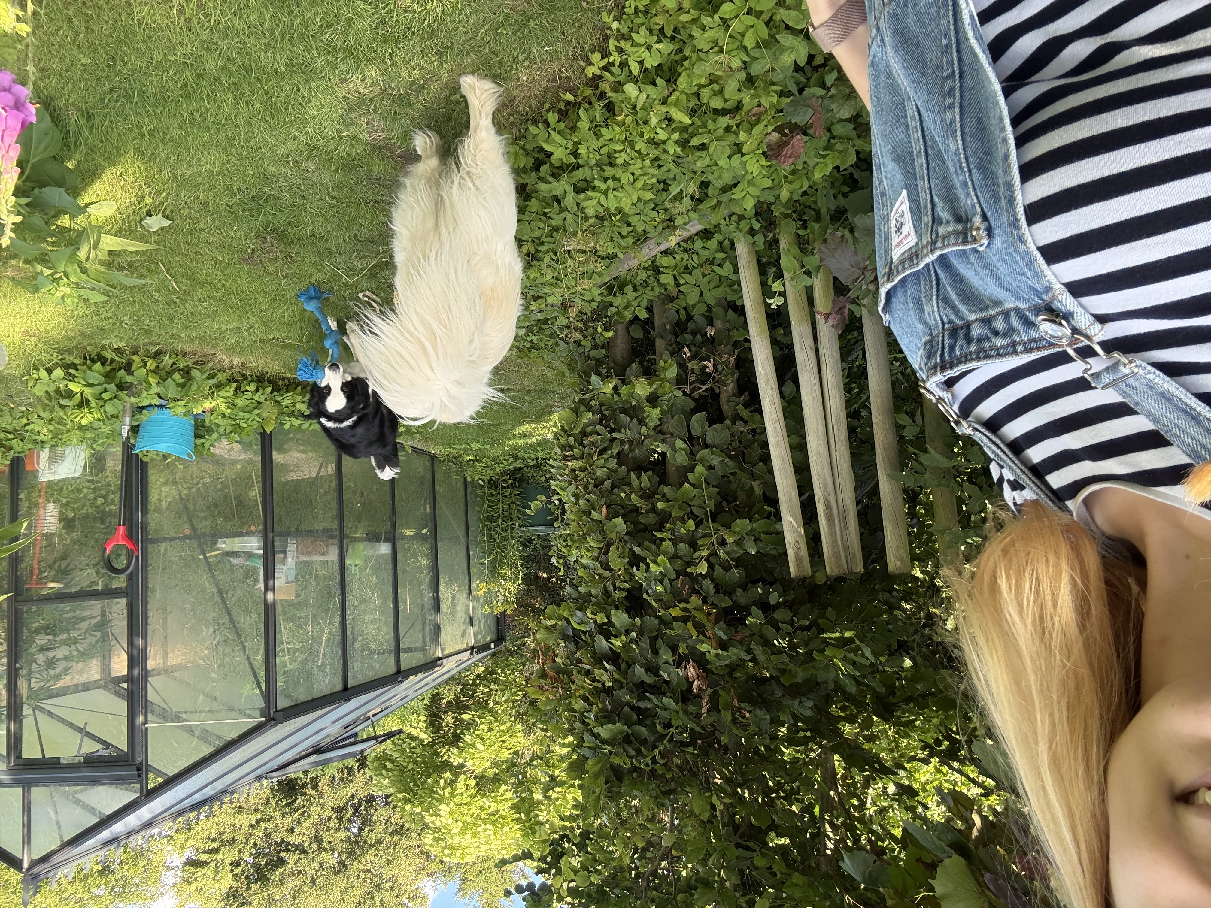 image-6