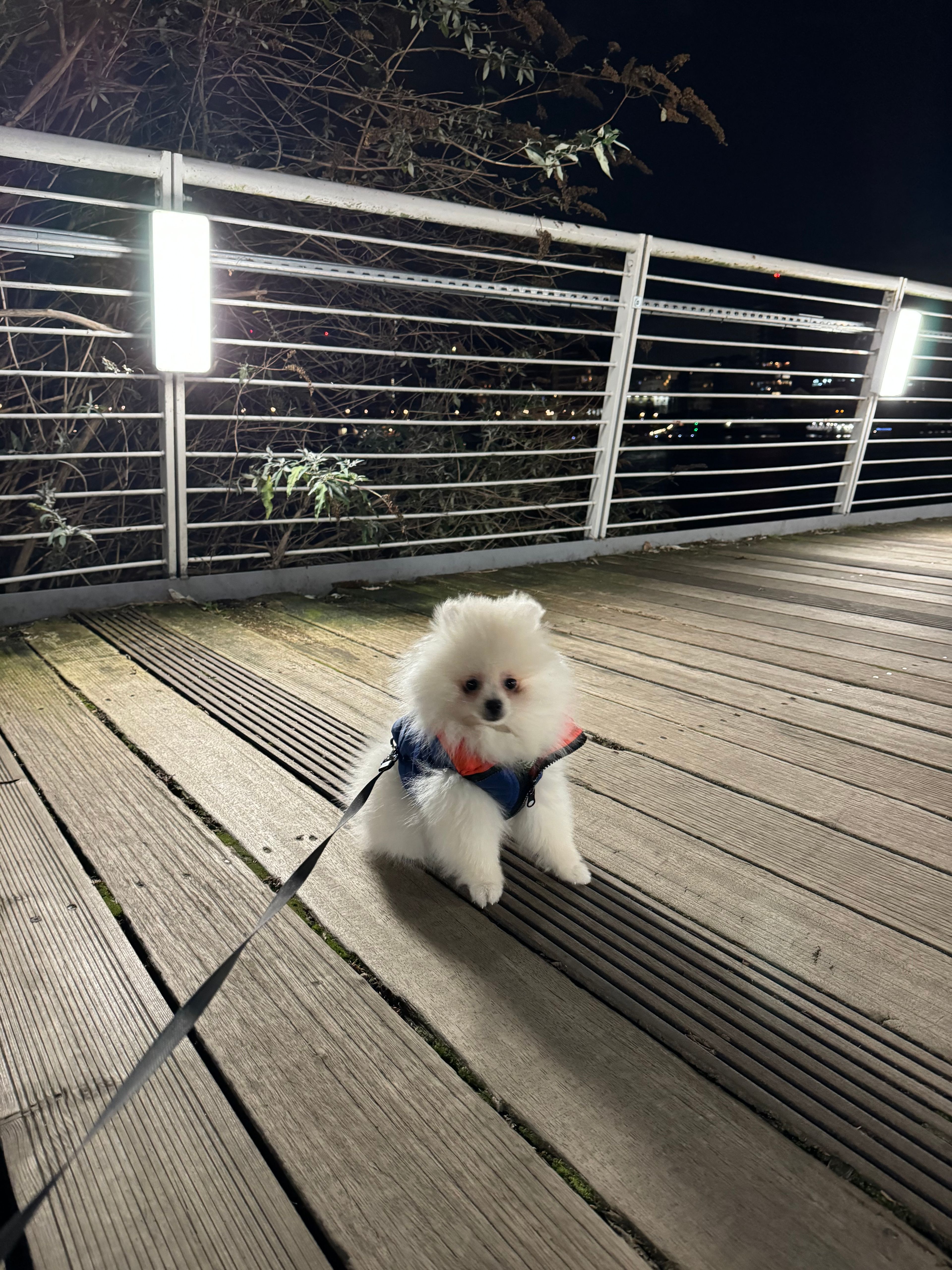 image-3
