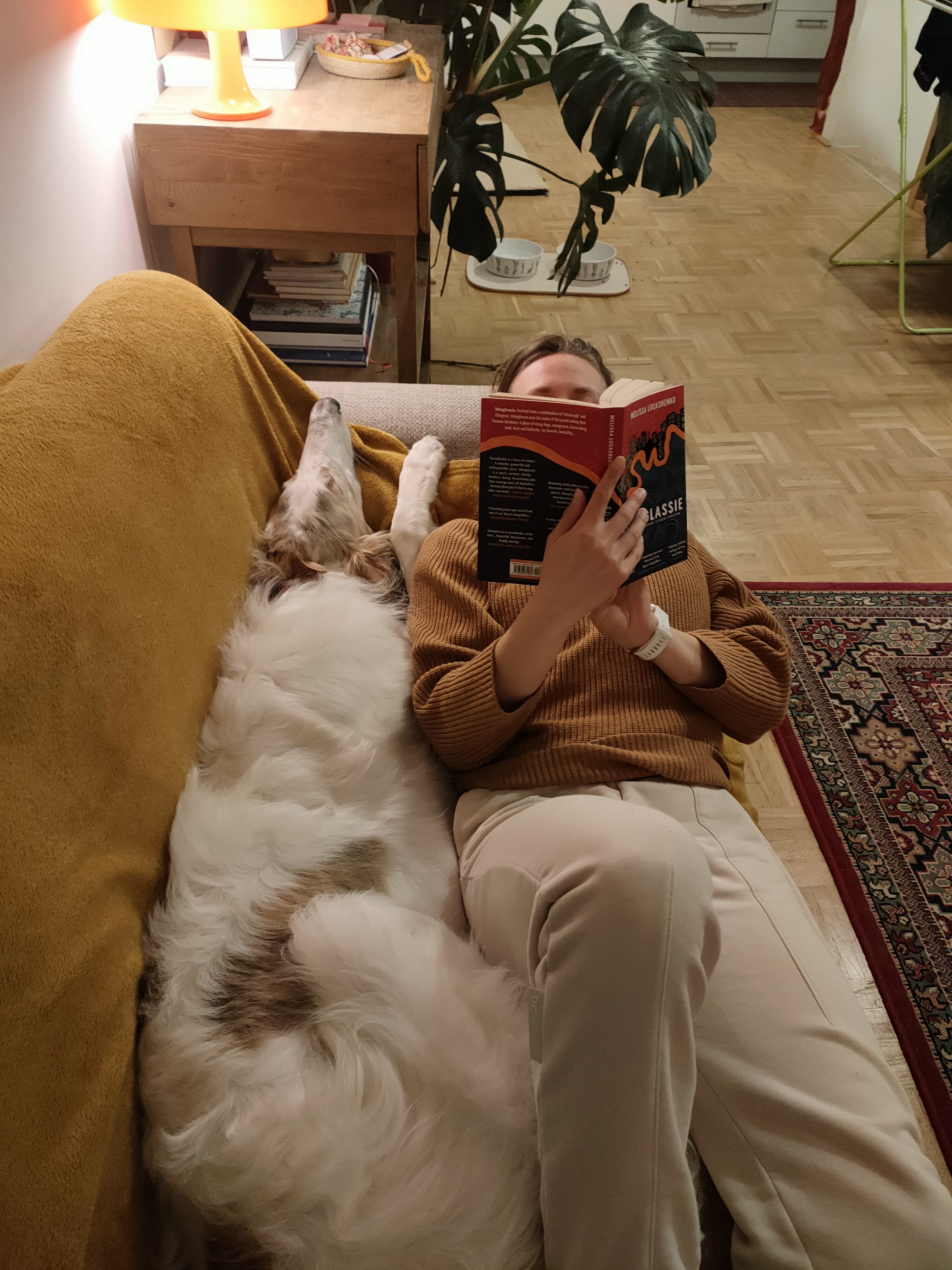 image-9