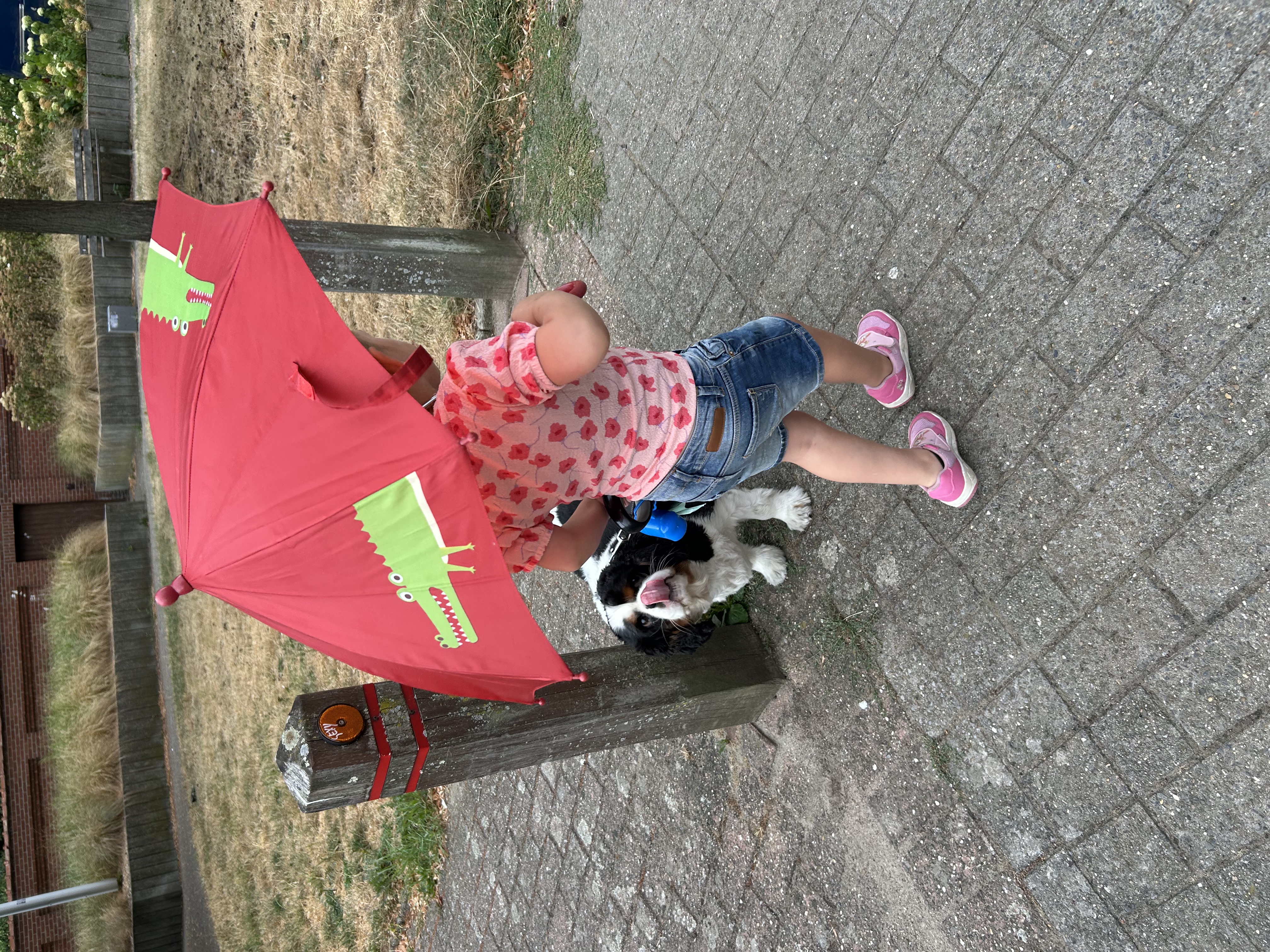 image-24