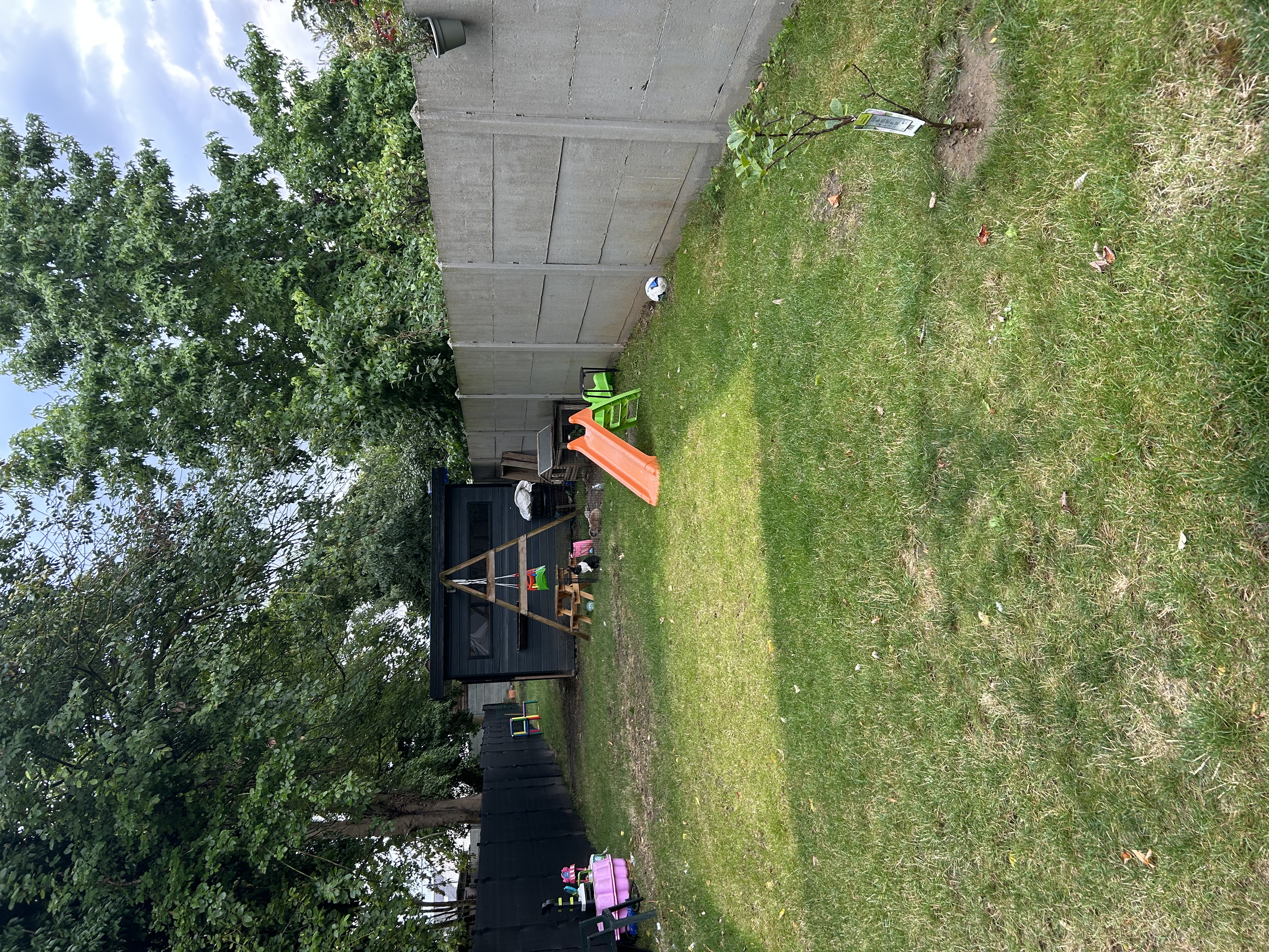 image-25