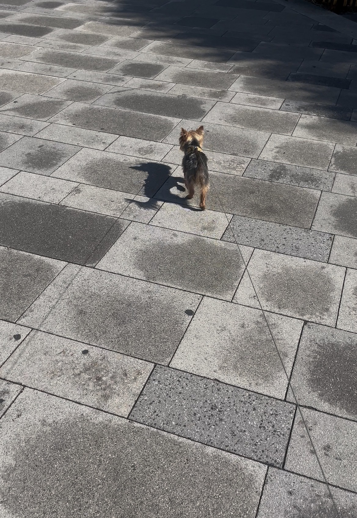 image-8