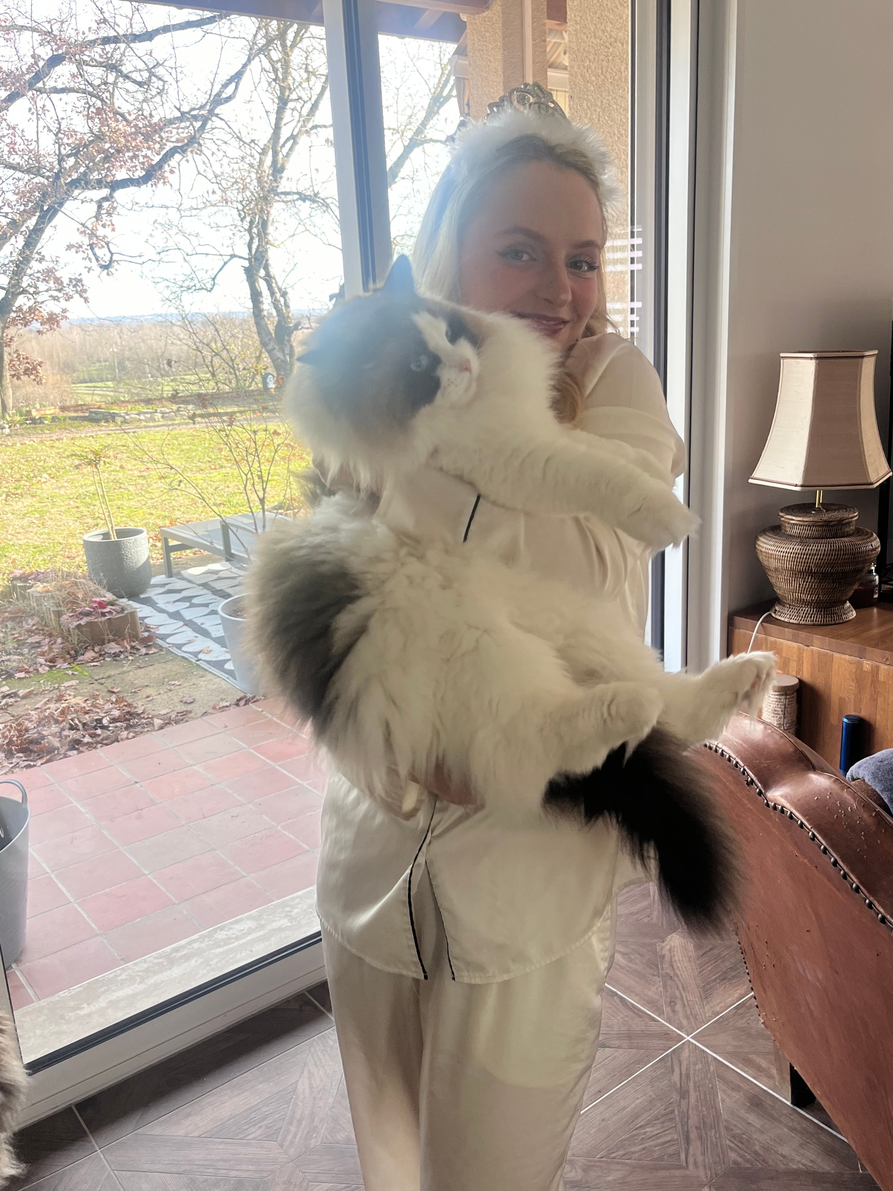 image-4