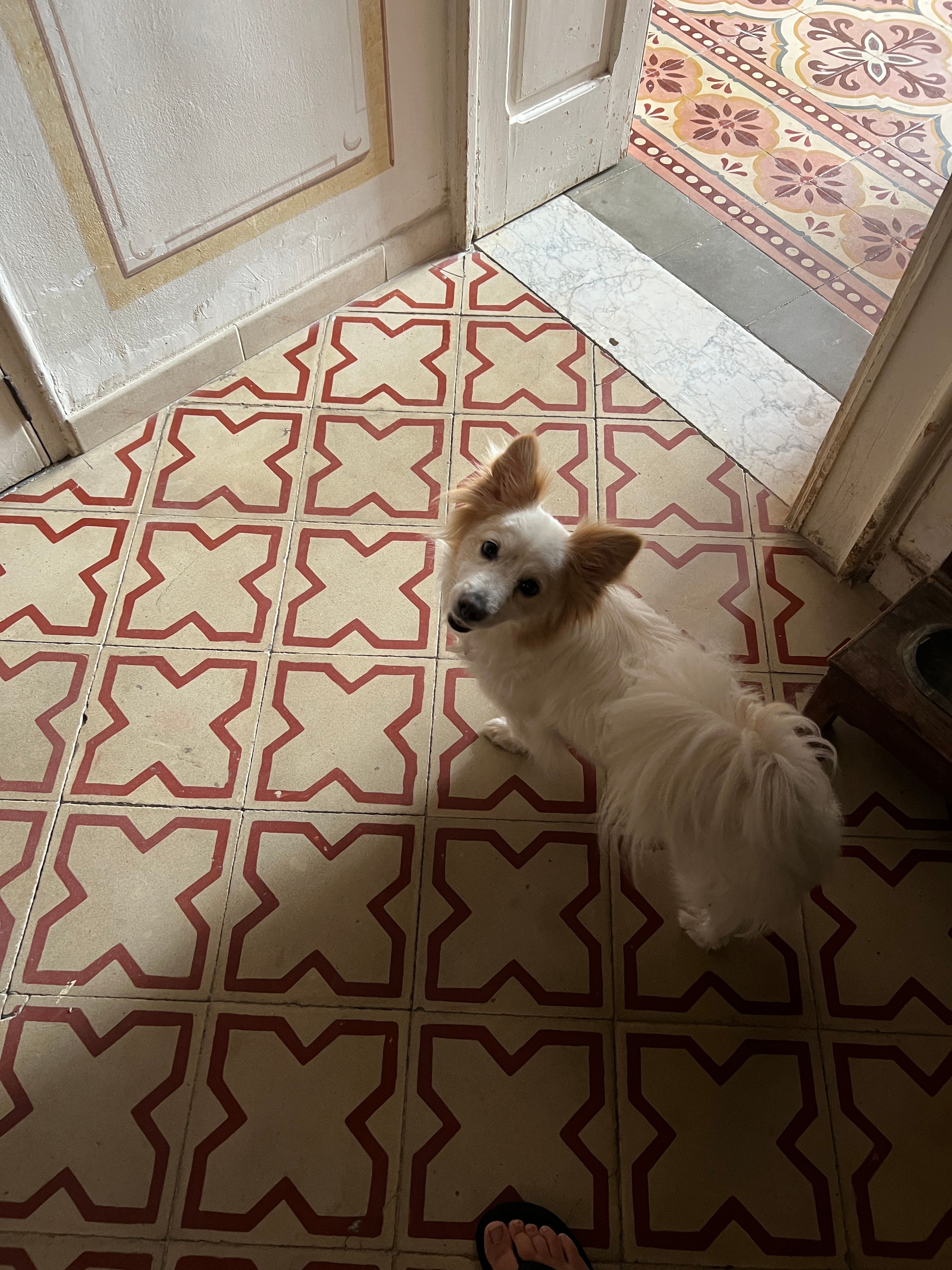image-5