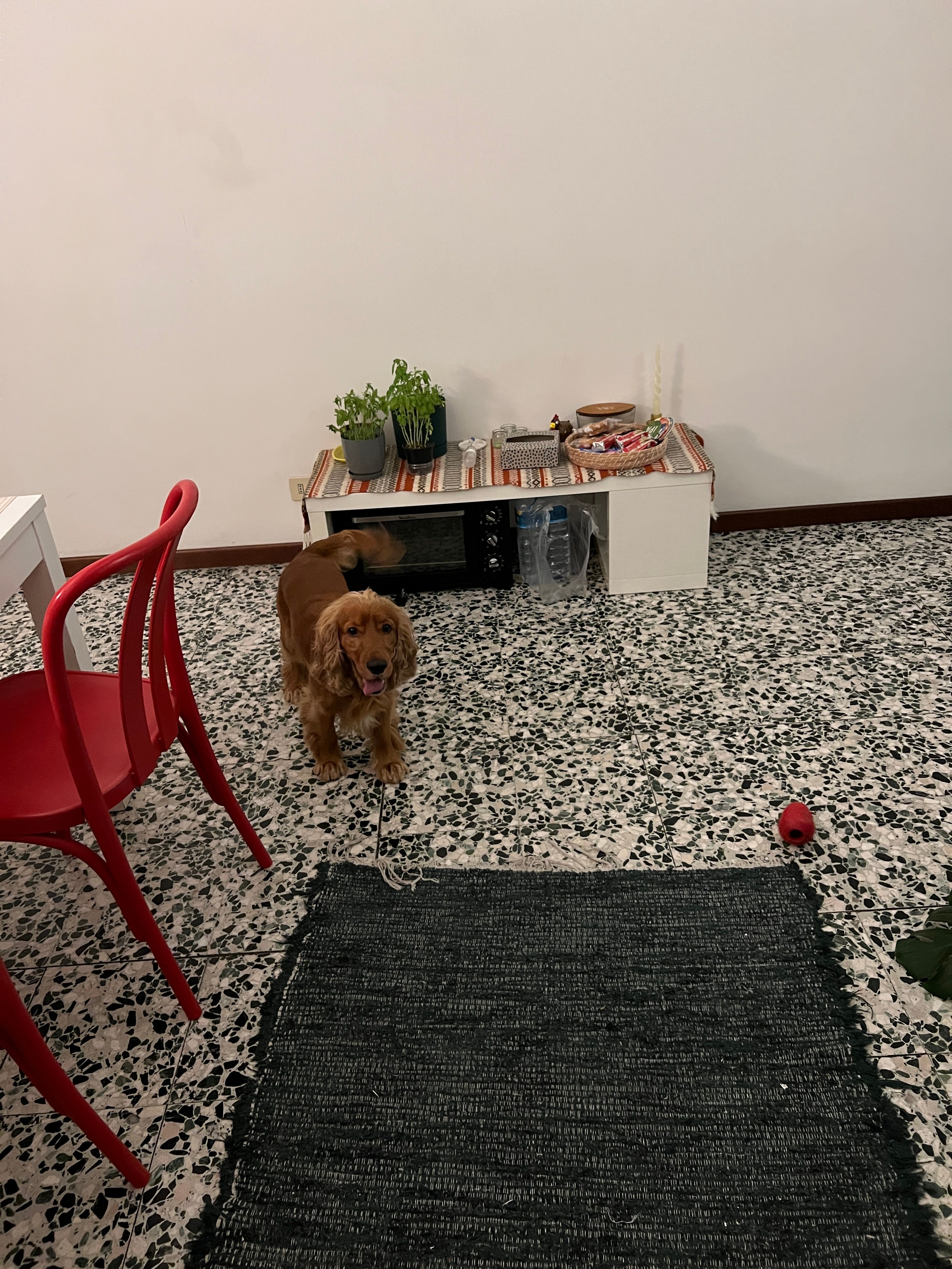 image-16